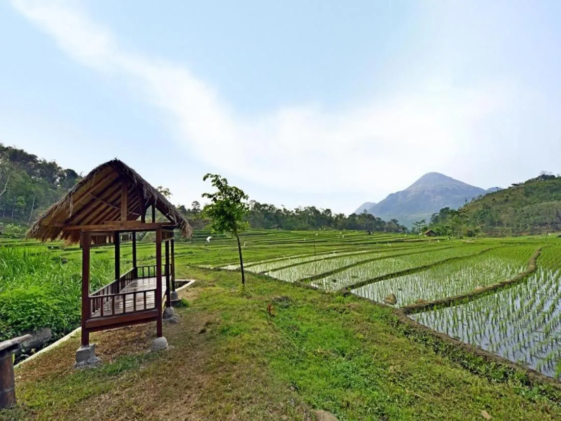 Natural landscape in Grand Whiz Hotel Trawas Mojokerto