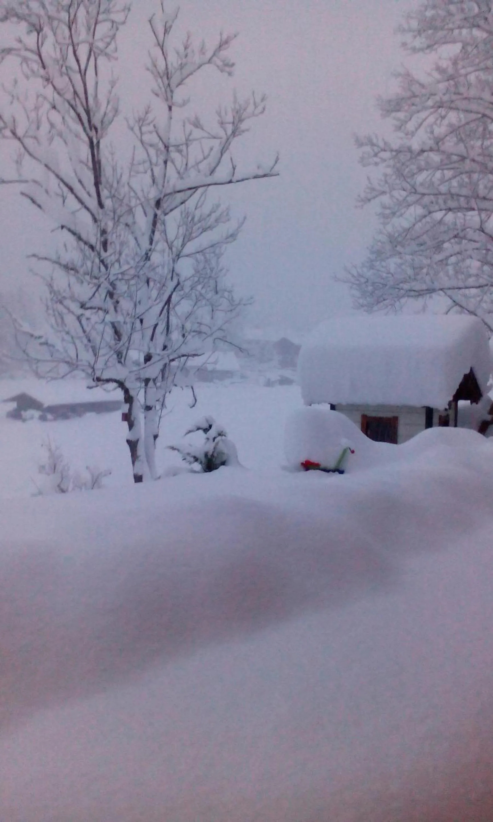 Area and facilities in Tourist Hotel Boehm