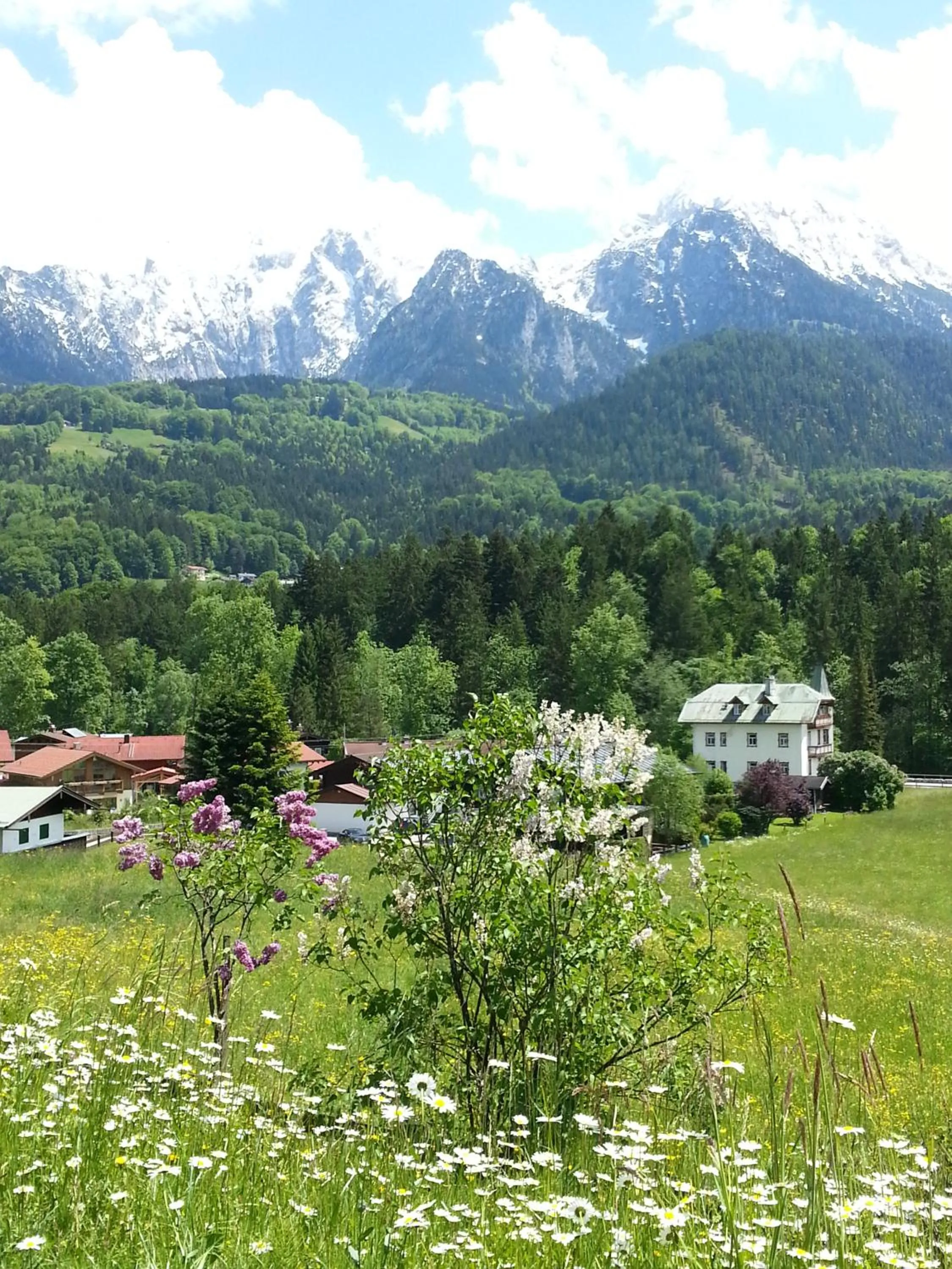 Mountain view in Tourist Hotel Boehm