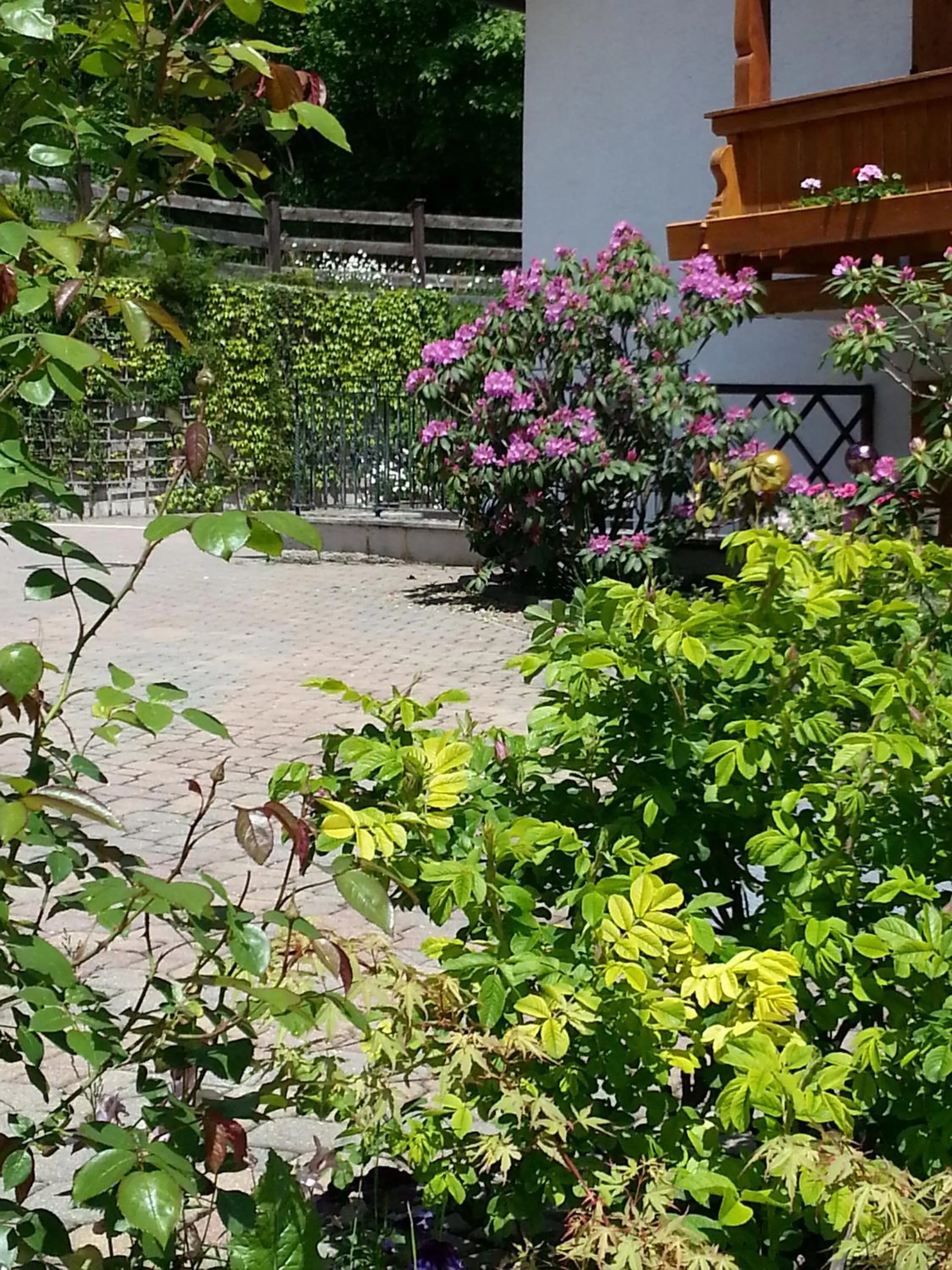 Facade/entrance in Tourist Hotel Boehm