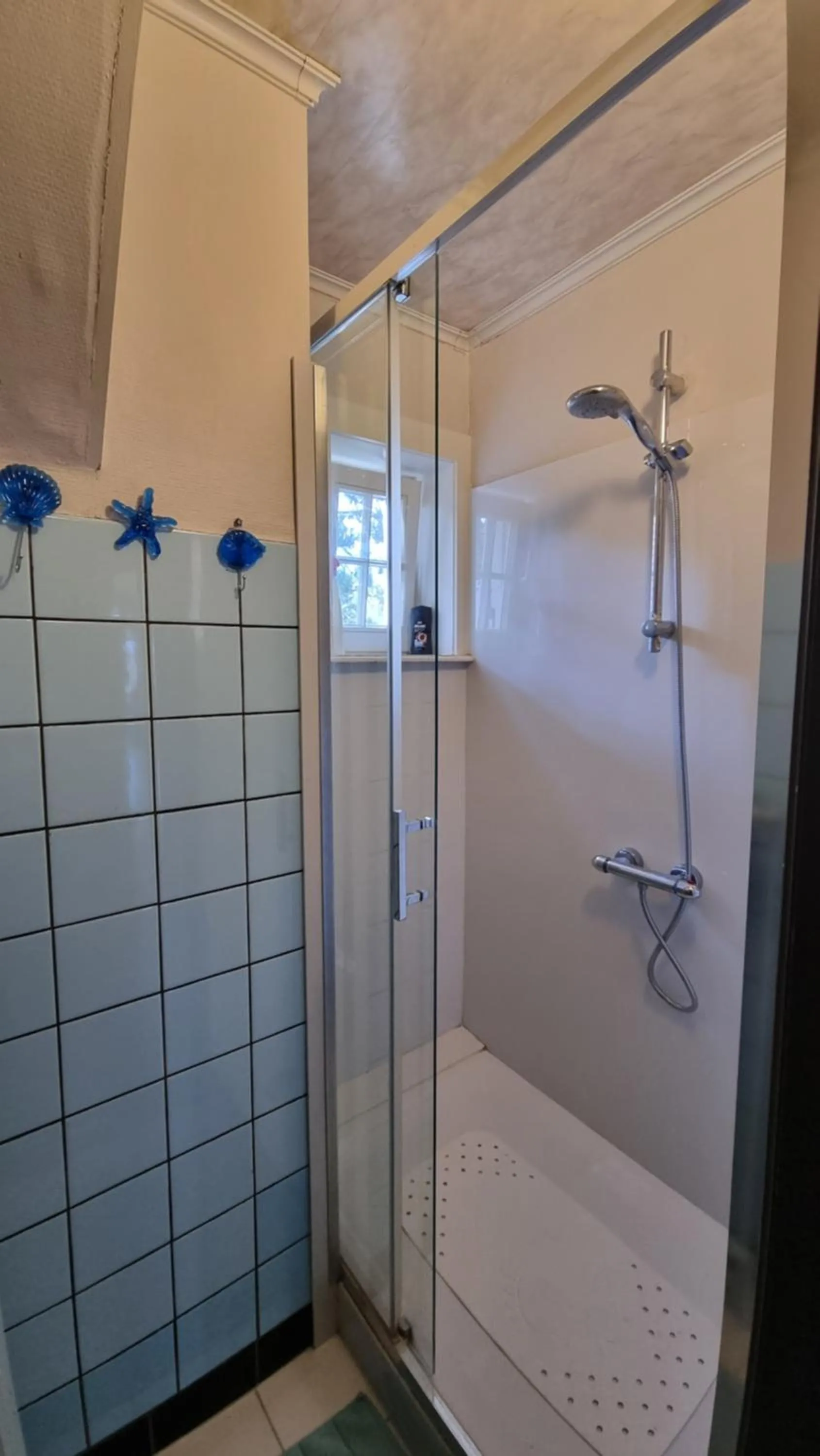 Shower in B&B Villa Fernadine