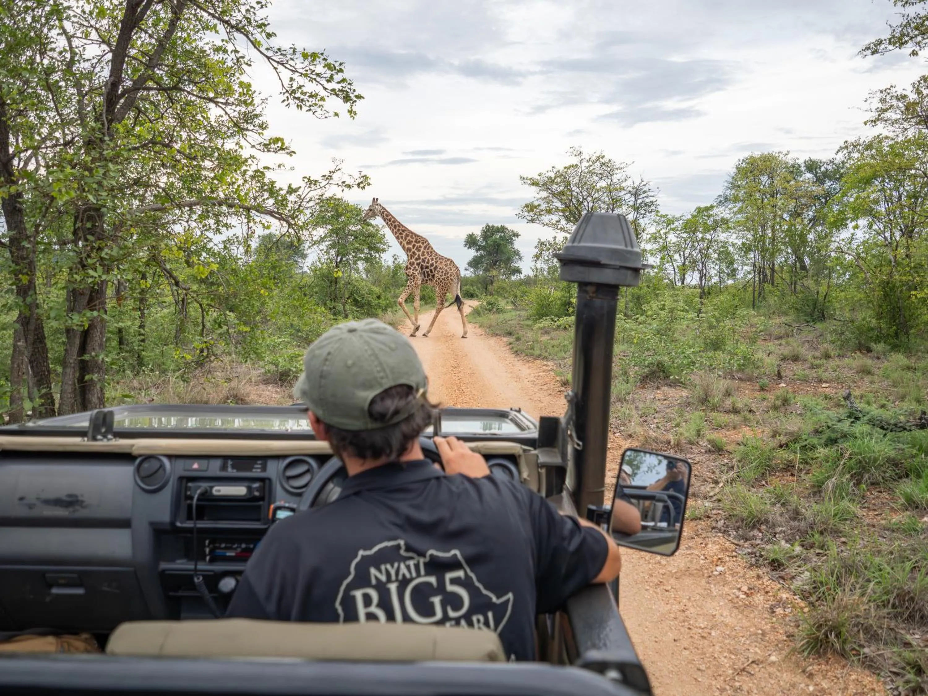 Day in Nyati Safari Lodge