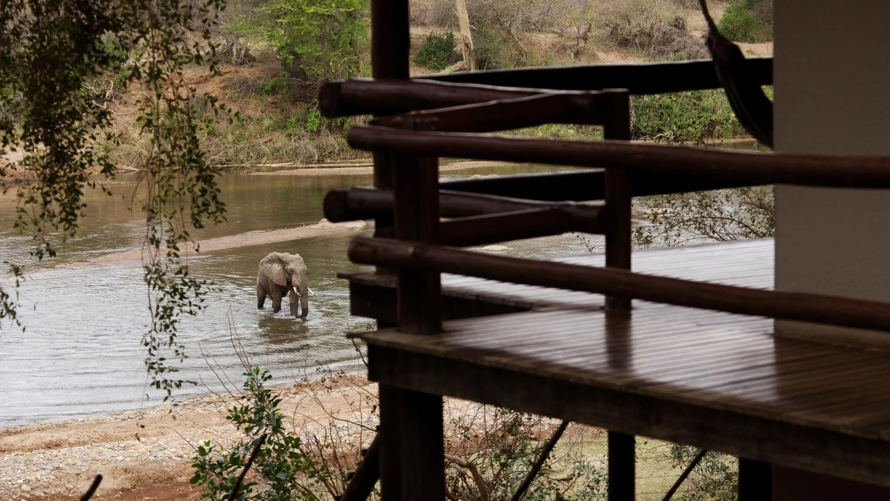 Day in Nyati Safari Lodge