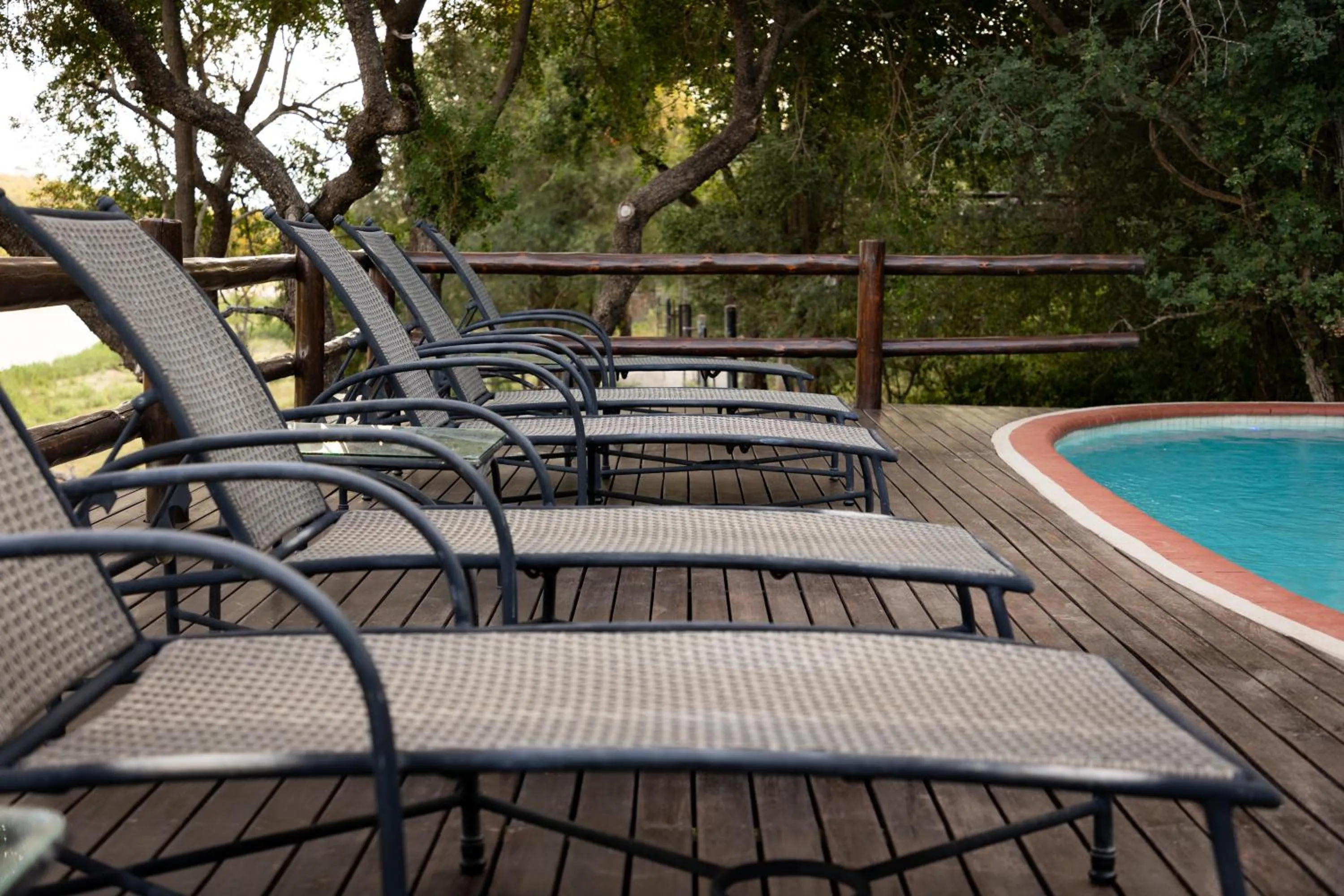 Day in Nyati Safari Lodge