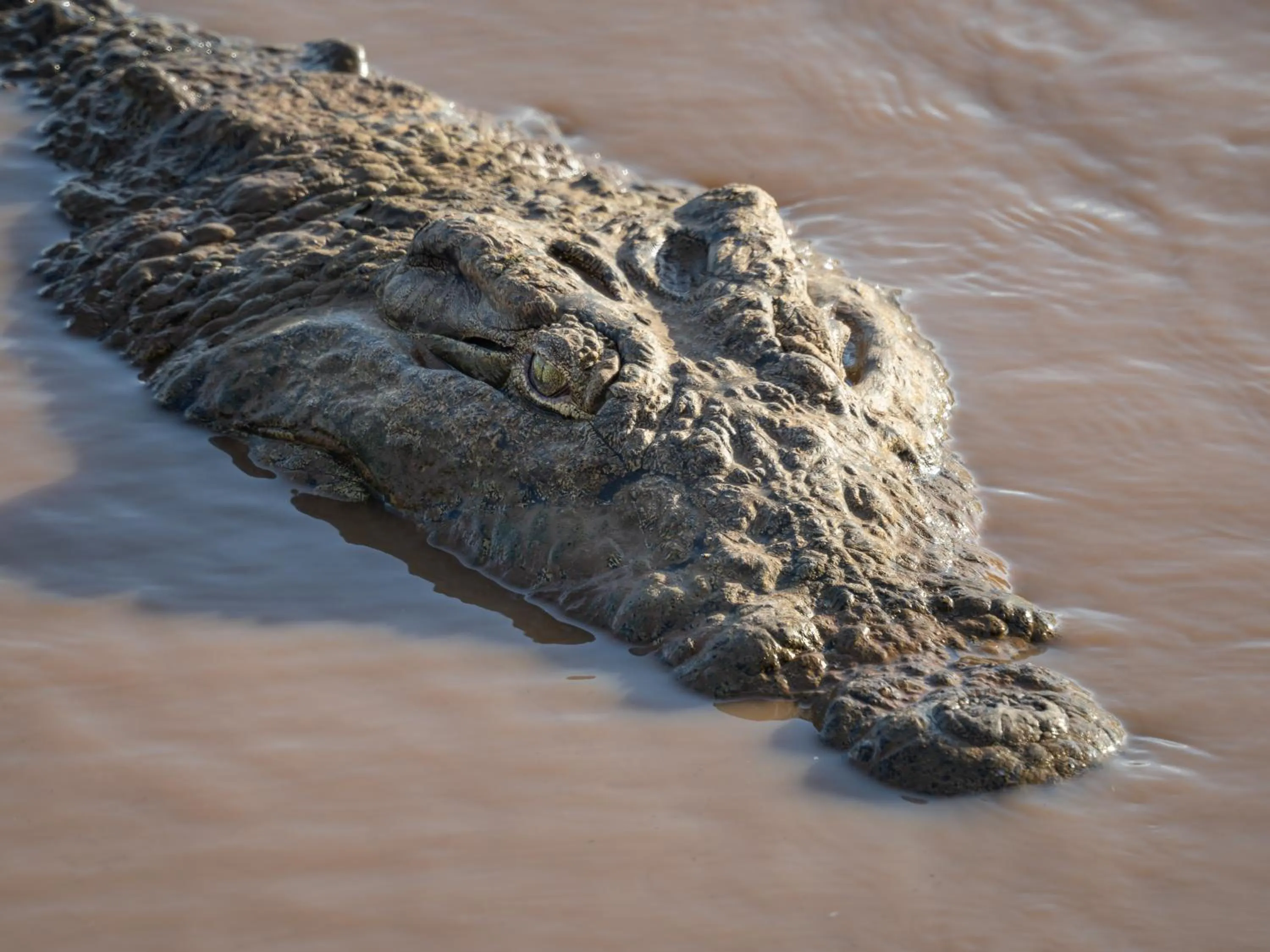 Day in Nyati Safari Lodge