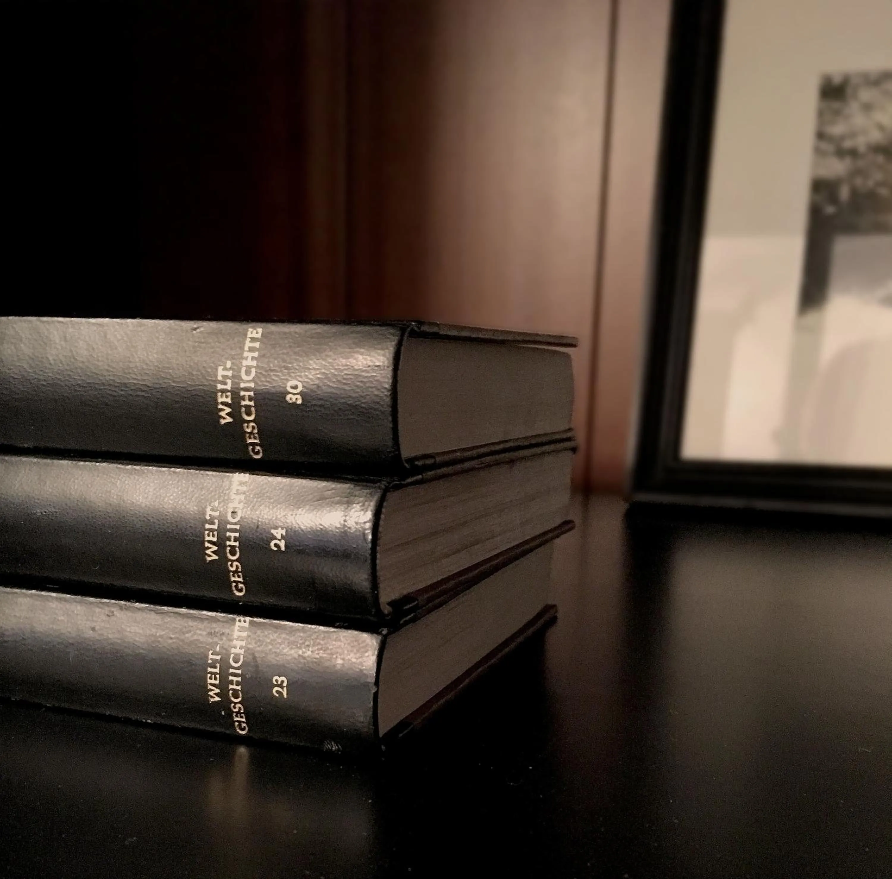 Library in The Starnbergsee Hideaway