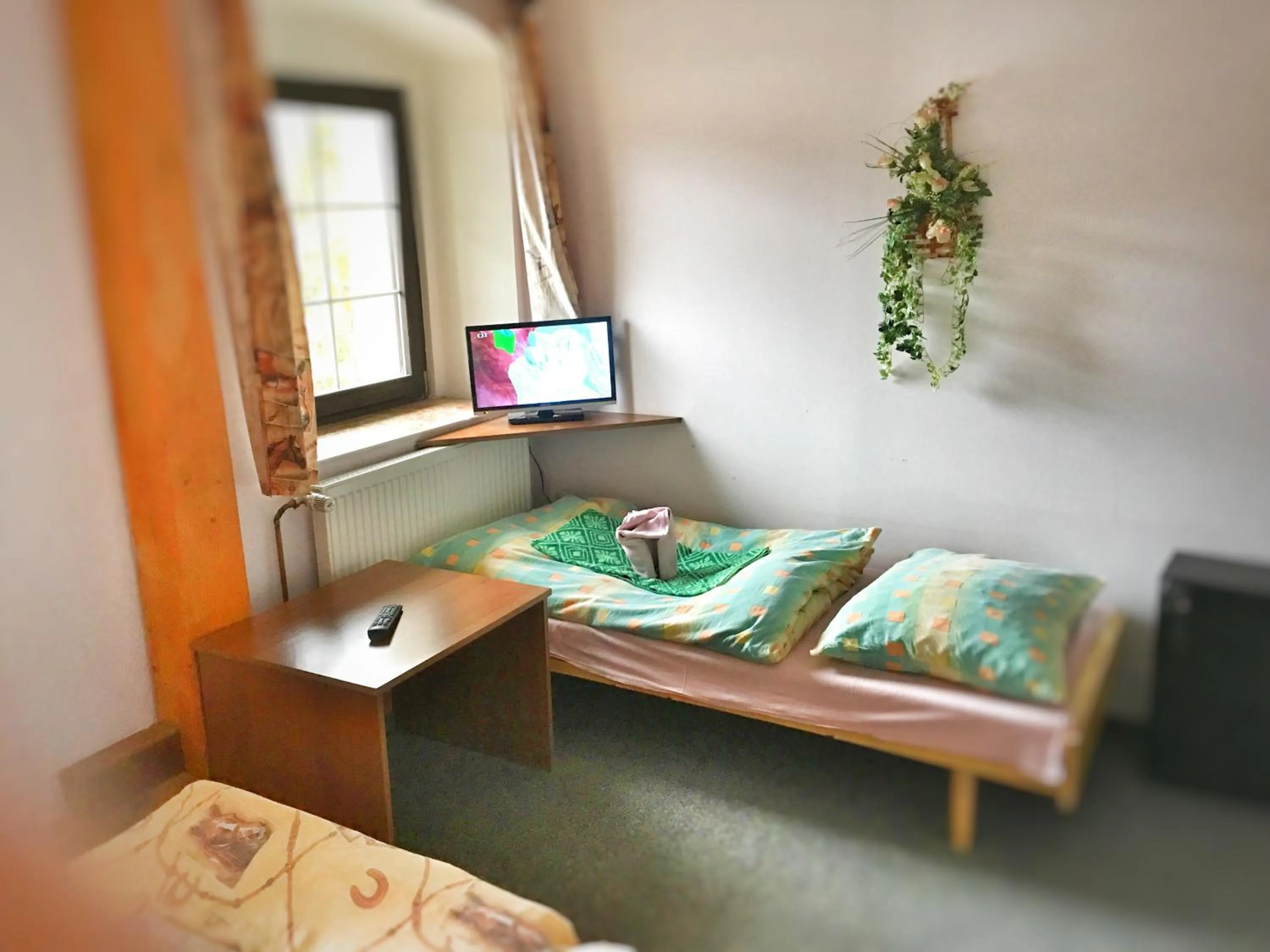 Photo of the whole room, Bed in Penzion Pegas Depoltovice