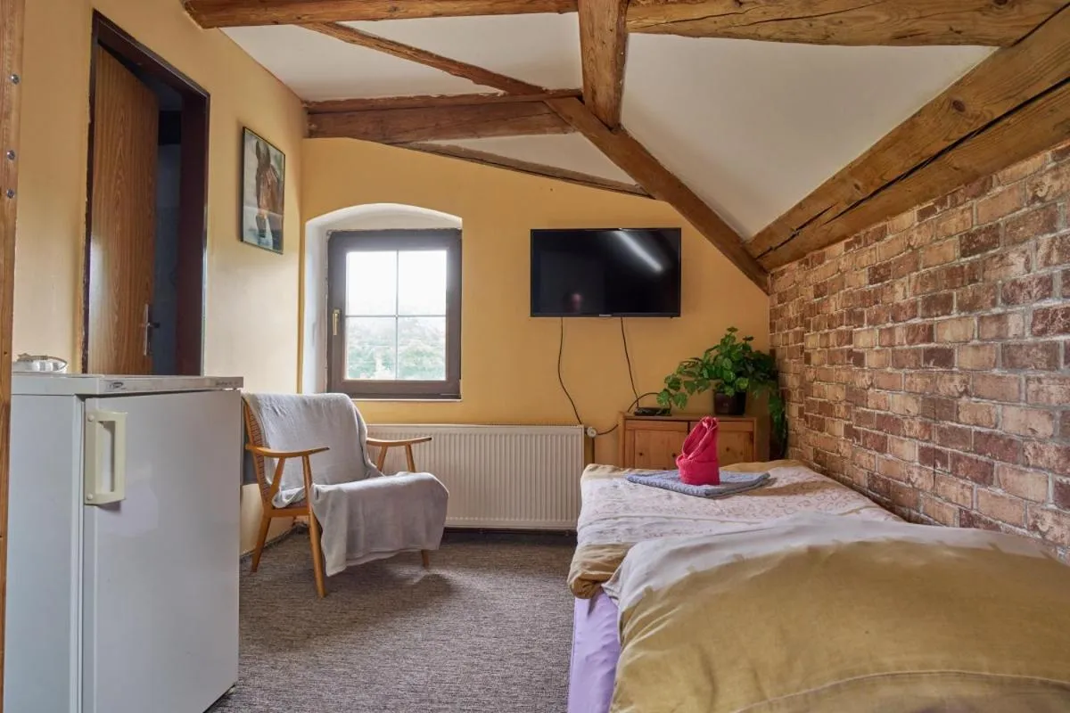 Bed in Penzion Pegas Depoltovice