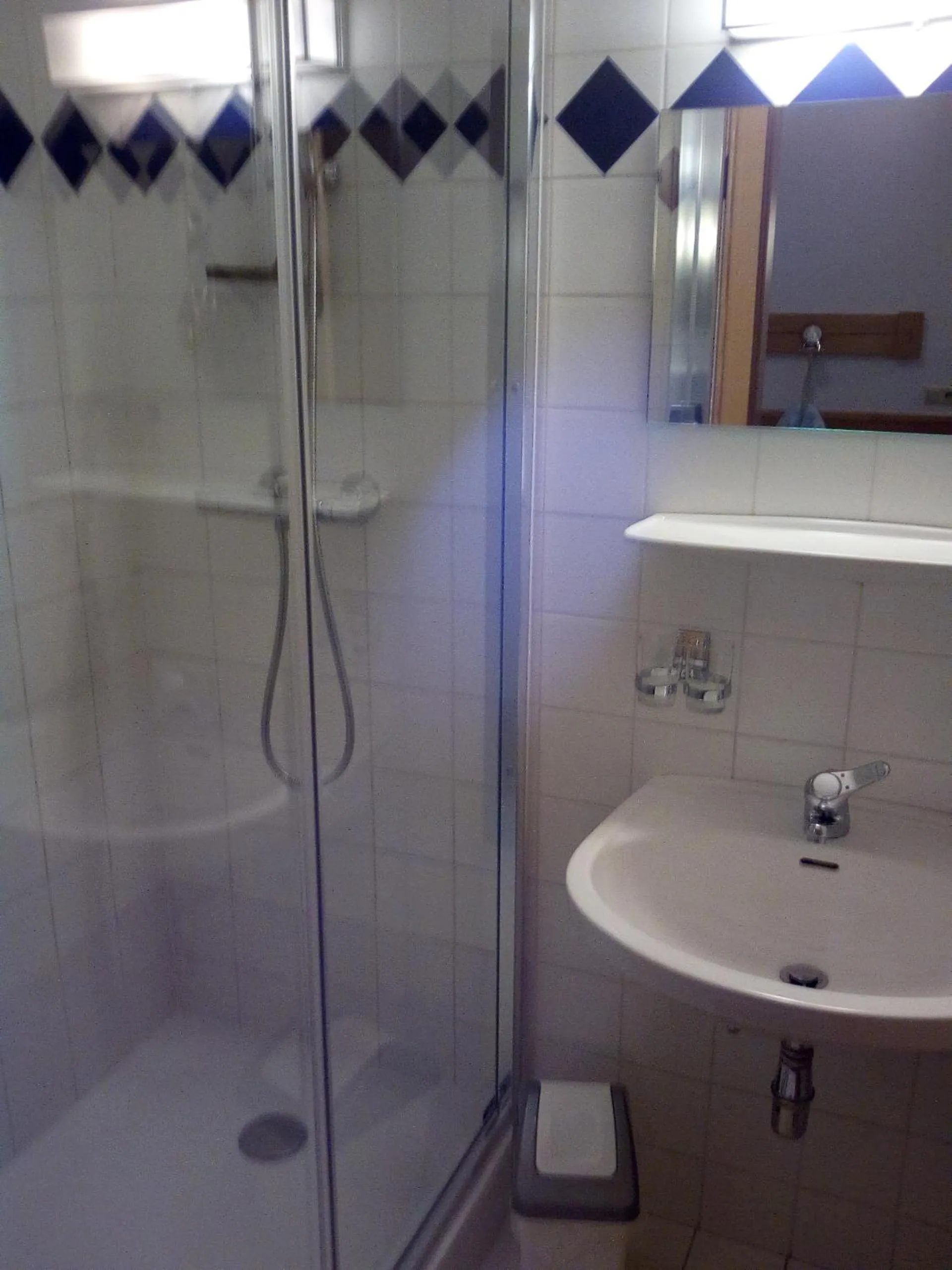 Shower in Hotel zum goldenen Hirschen
