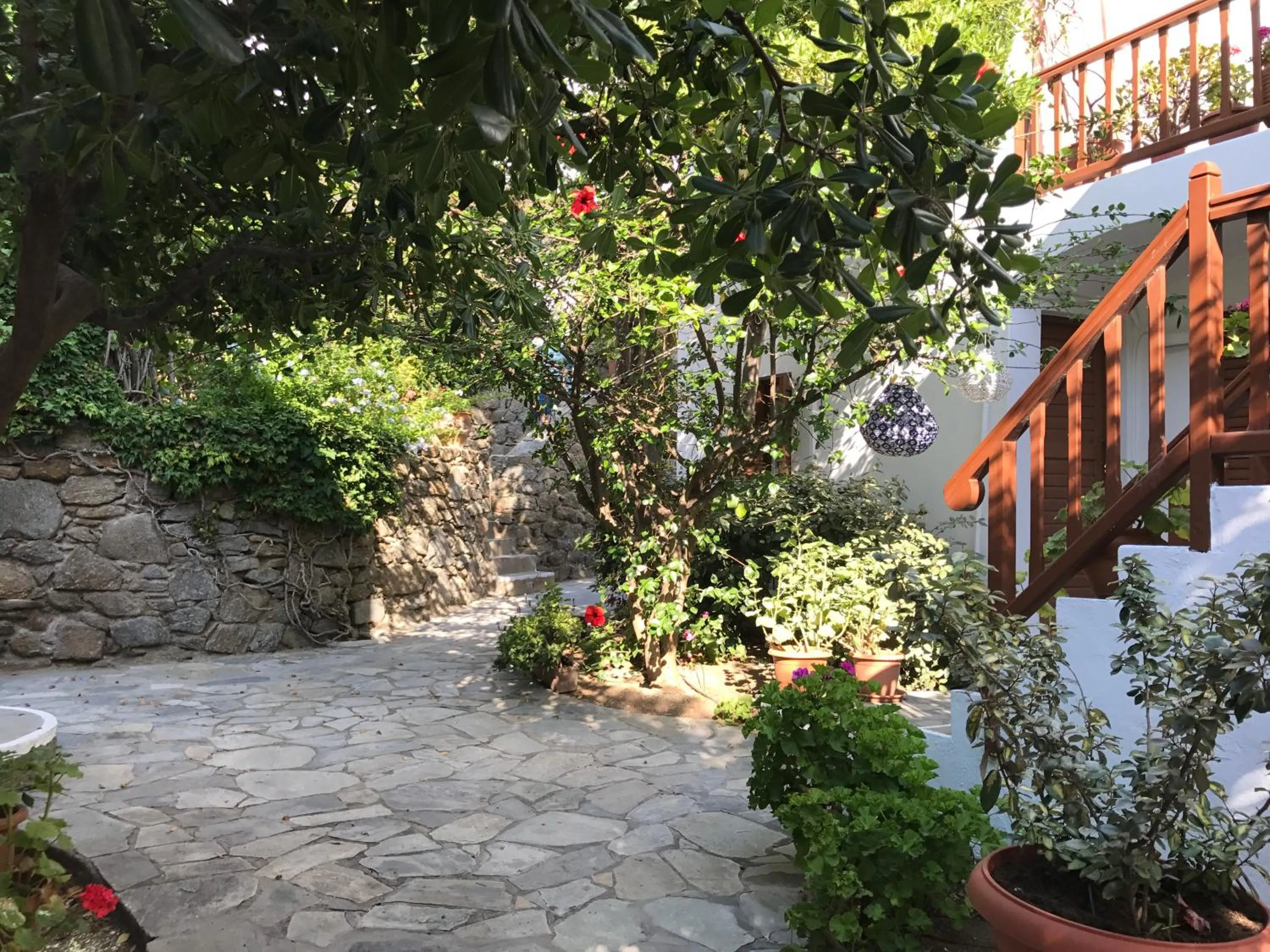 Casa Cozy