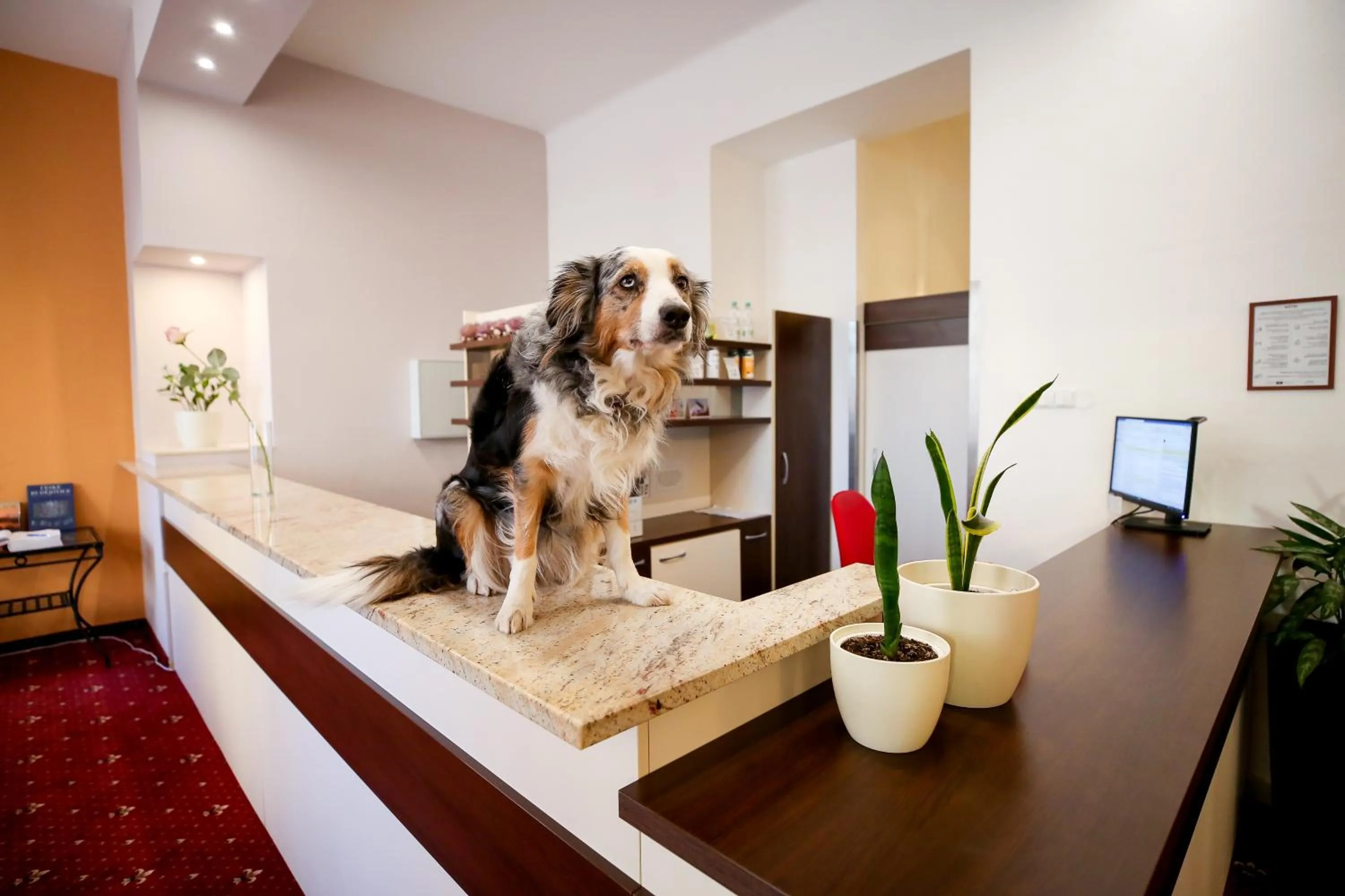Lobby or reception in Hotel Tábor