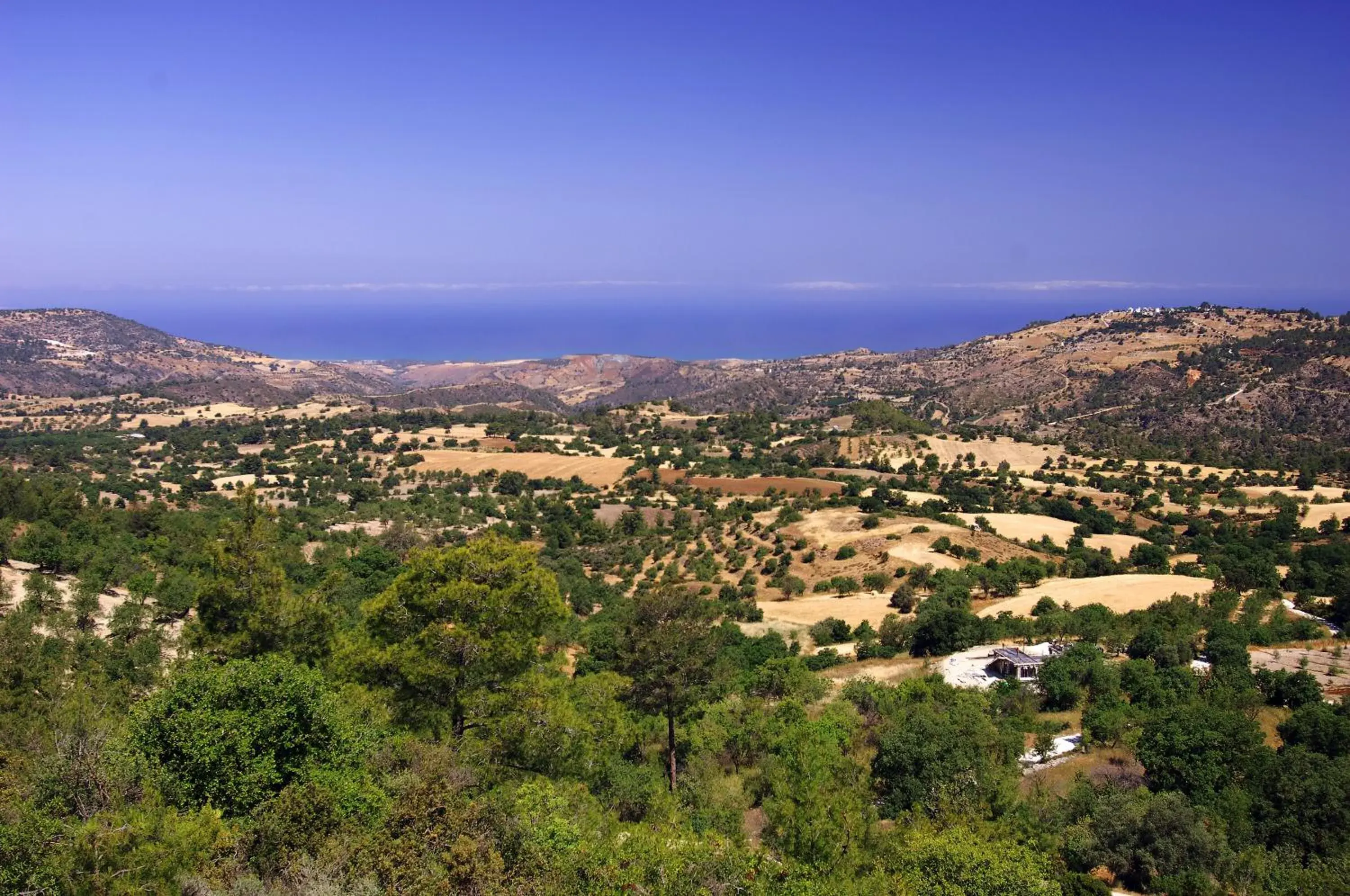 Single Room in Demetriou Paradisos Hills Hotel Single Room in Demetriou Paradisos Hills Hotel