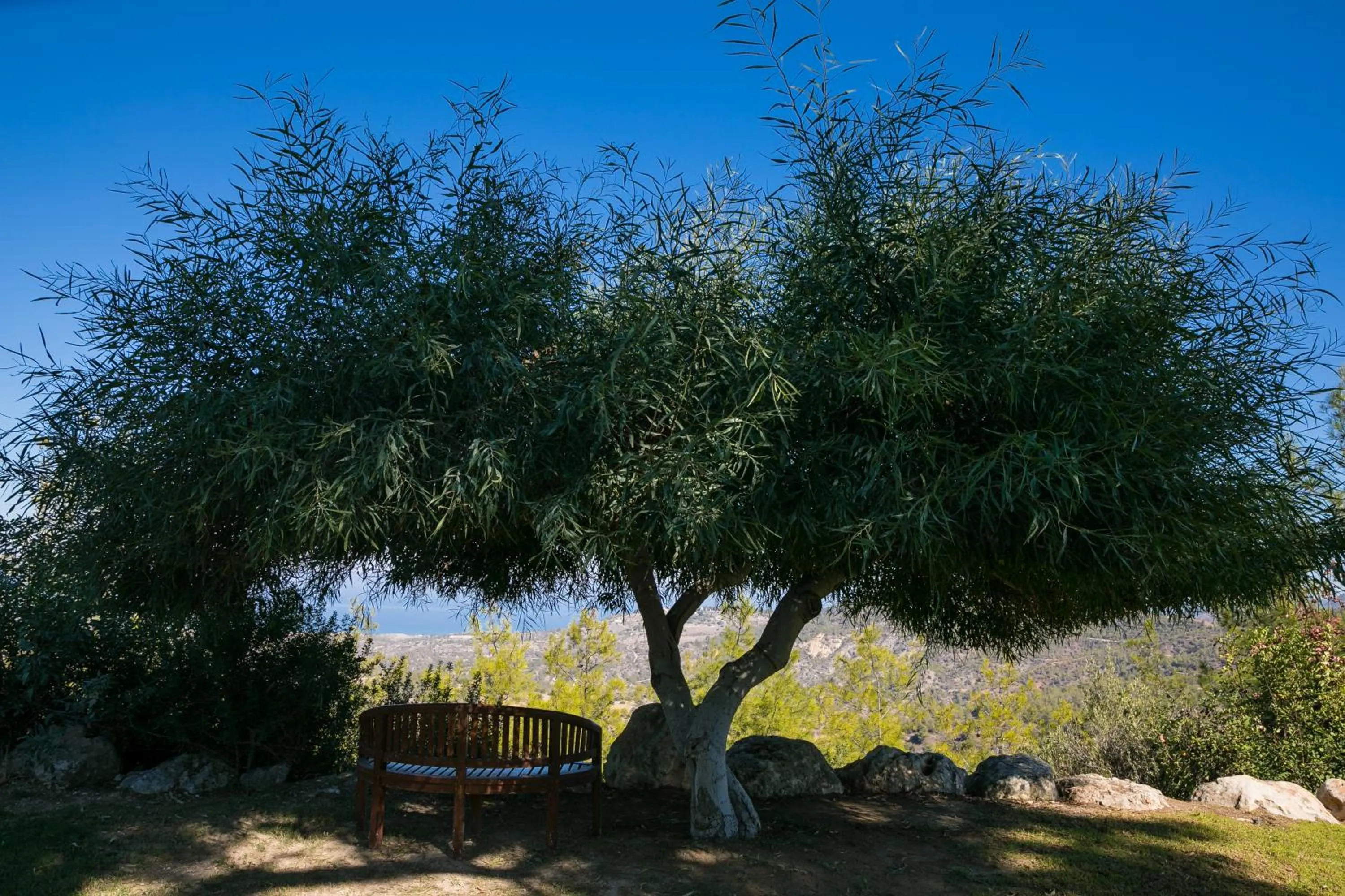 Demetriou Paradisos Hills Hotel