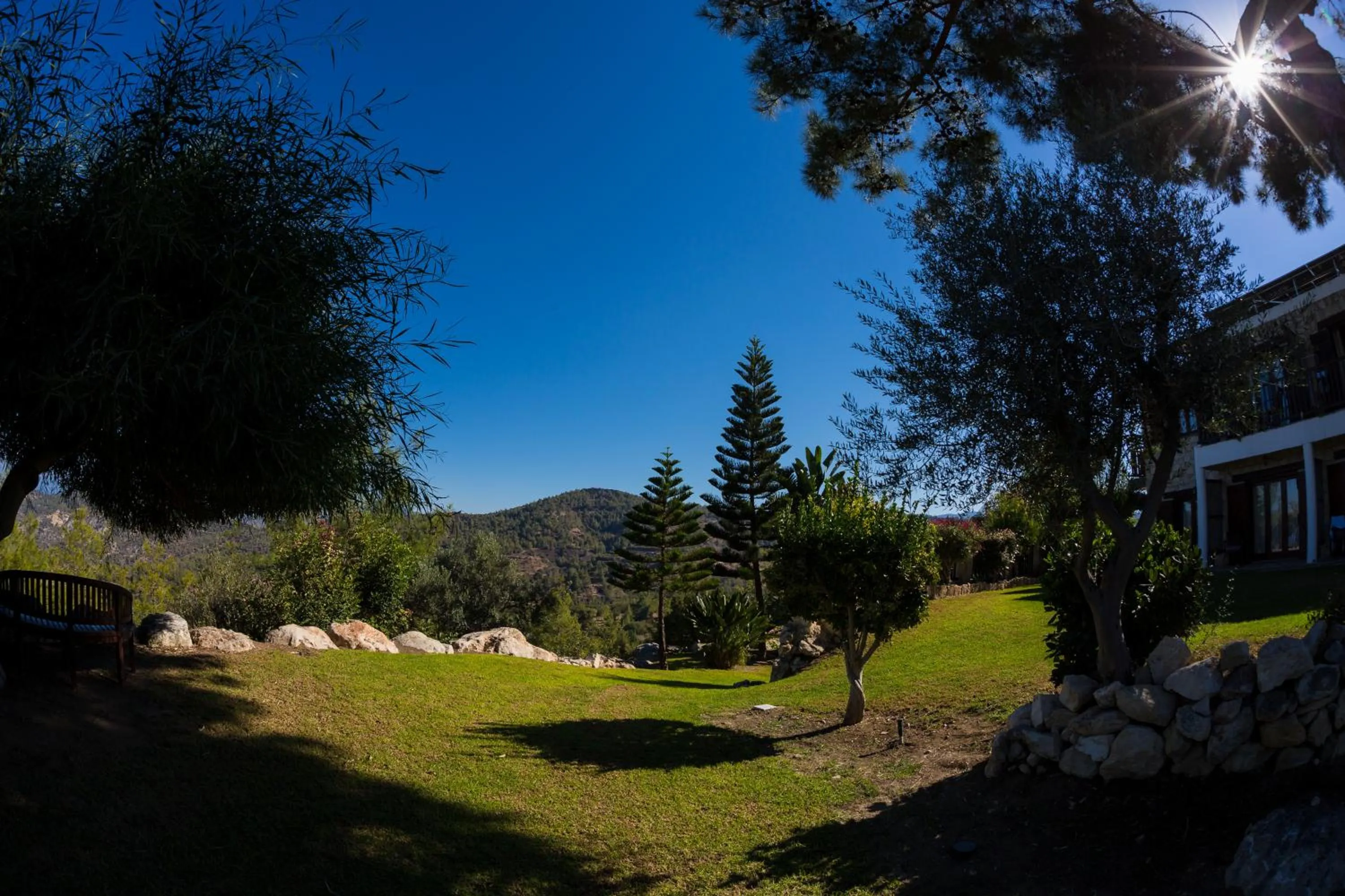 Demetriou Paradisos Hills Hotel