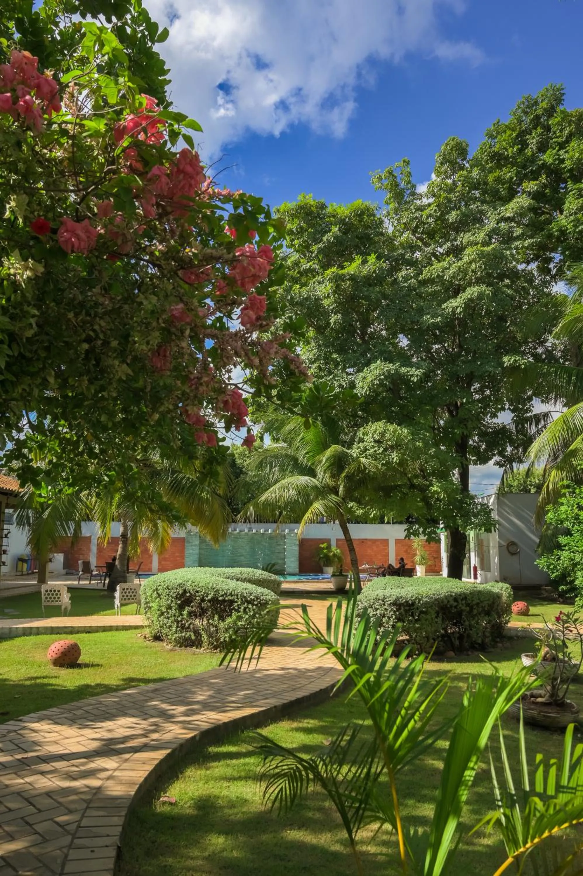 Garden in Delcas Hotel