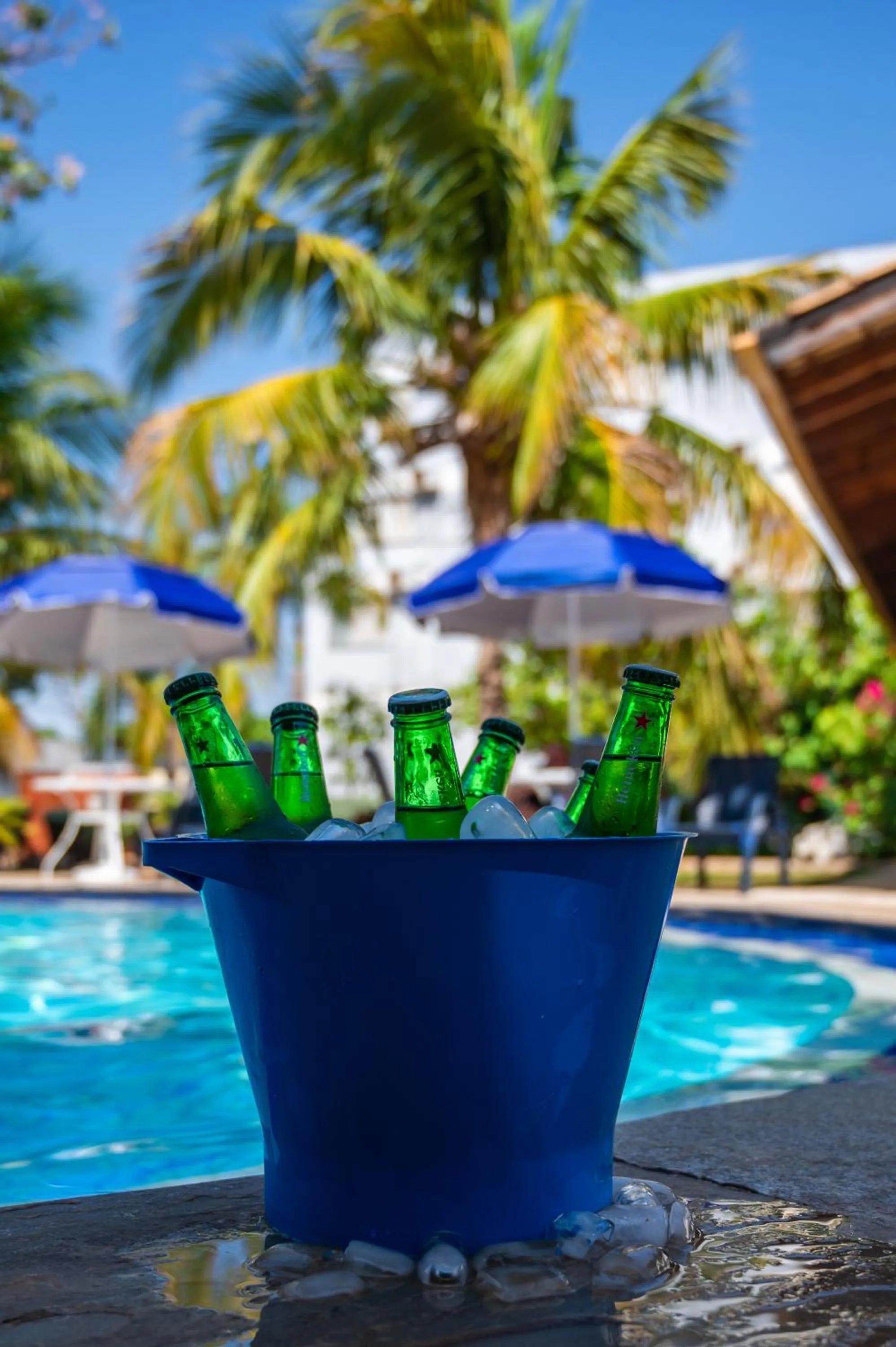 Lounge or bar in Delcas Hotel