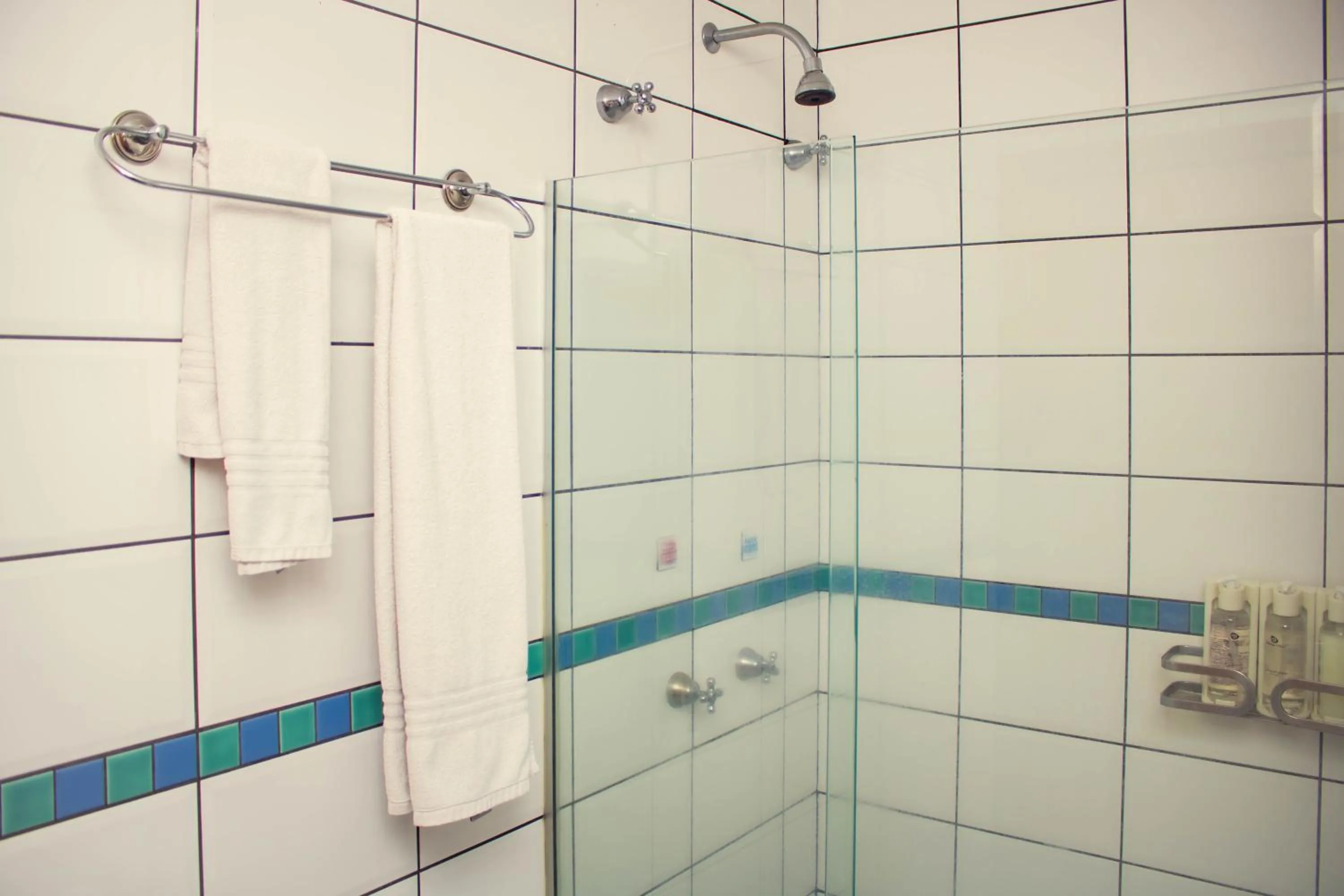 Deluxe Triple Room ( Double bed + 1 Single) - single occupancy in Delcas Hotel