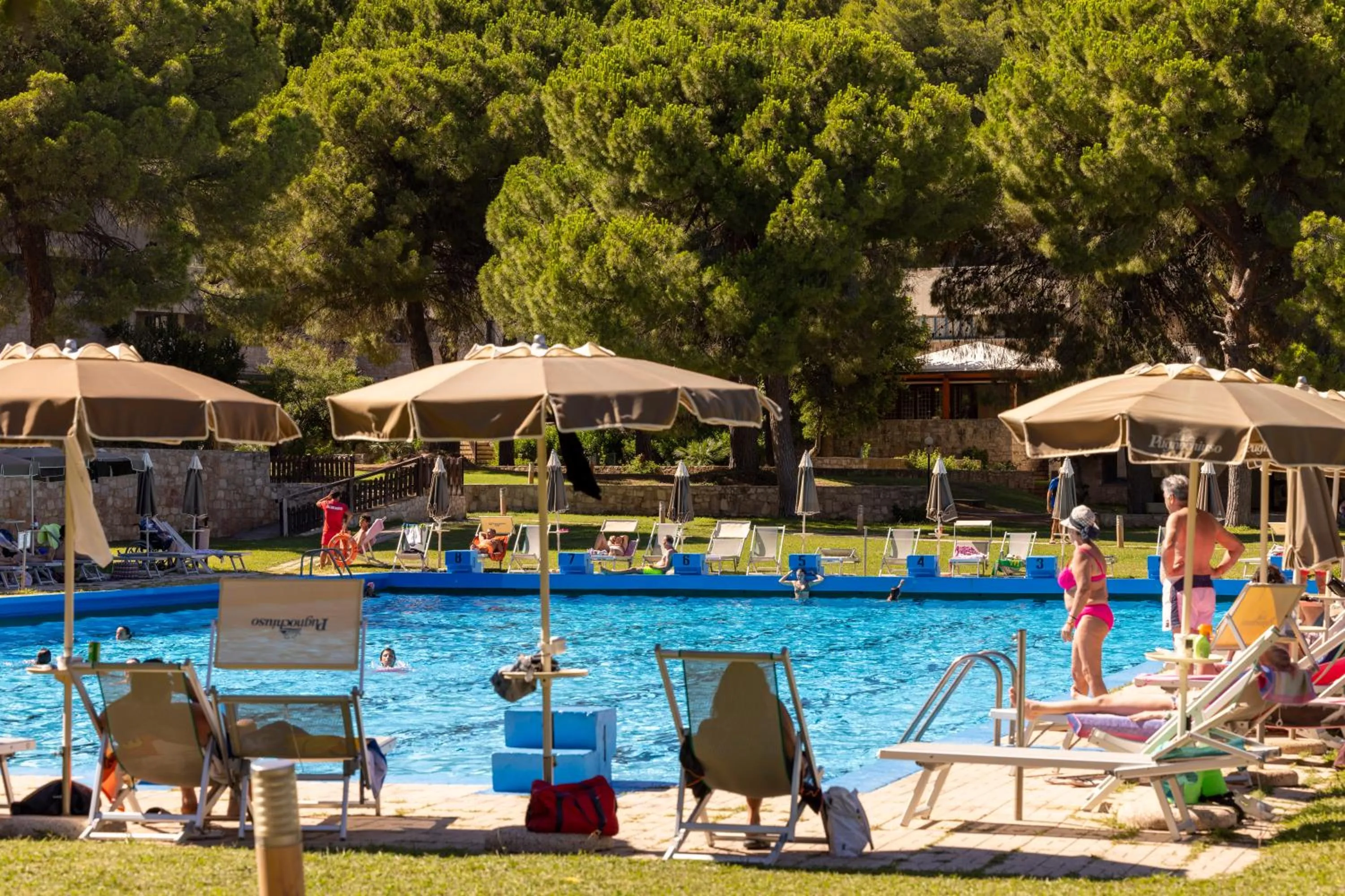 Swimming pool in Hotel degli Ulivi