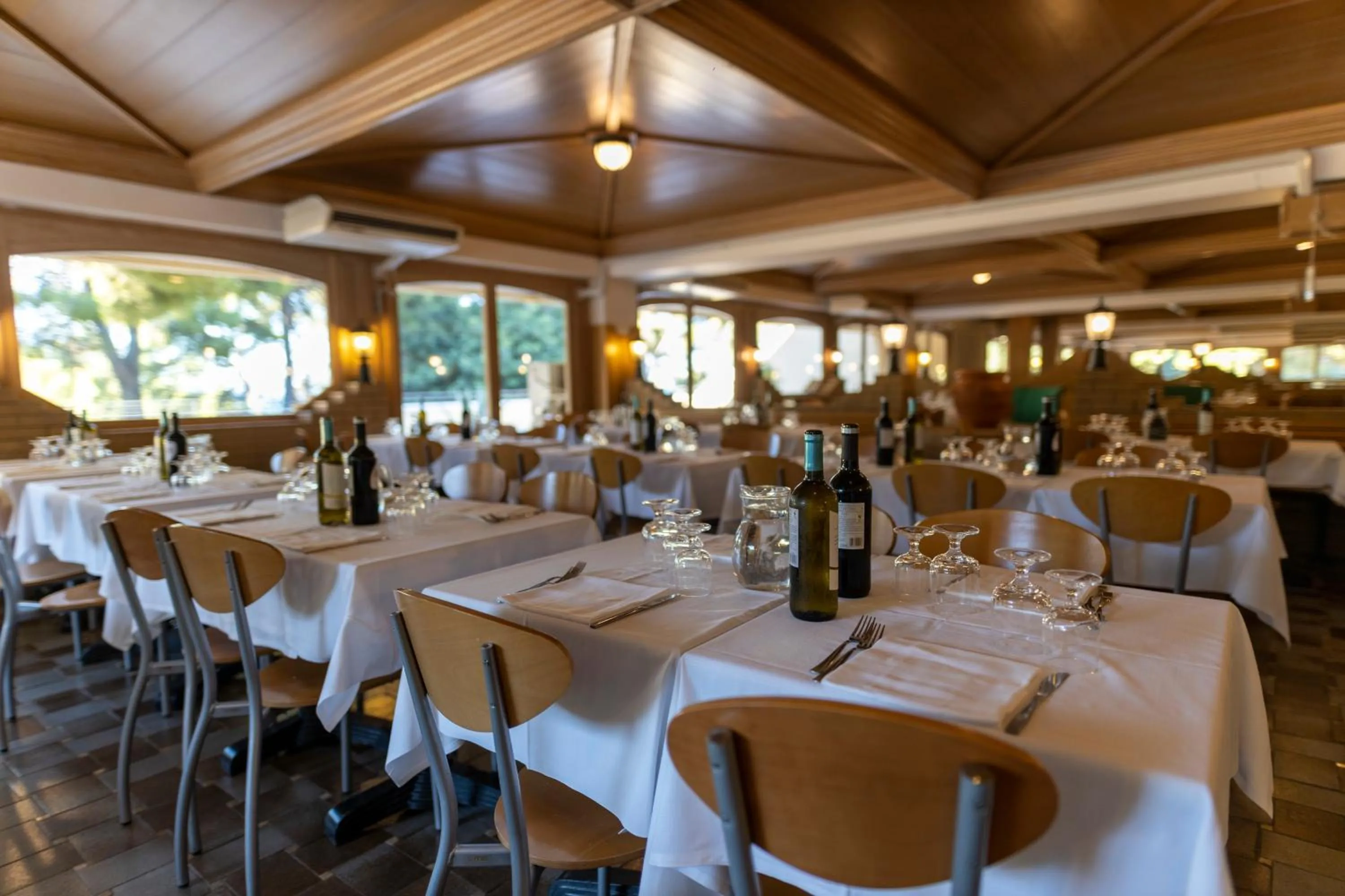 Restaurant/places to eat in Hotel degli Ulivi