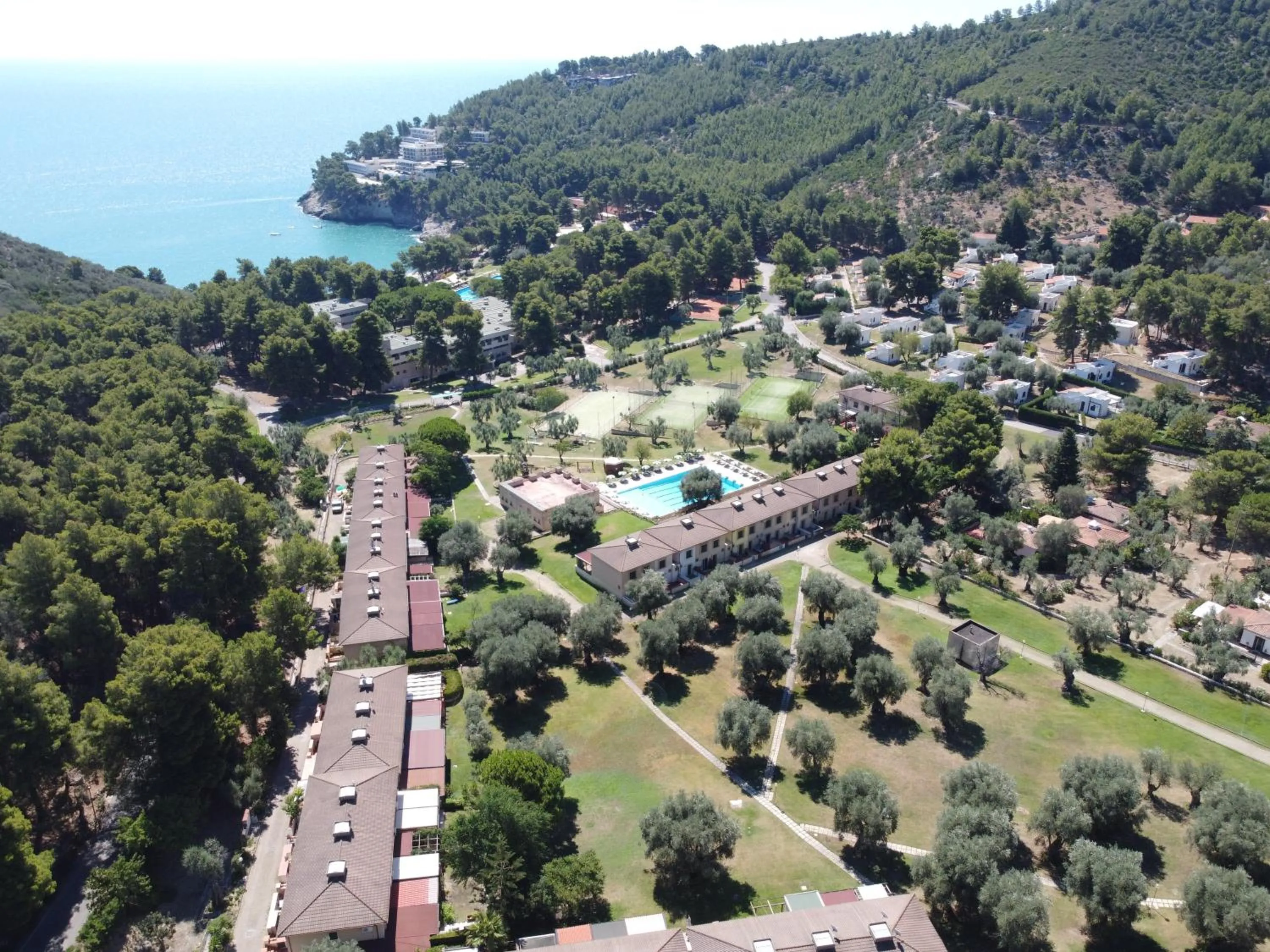 Garden view in Hotel degli Ulivi
