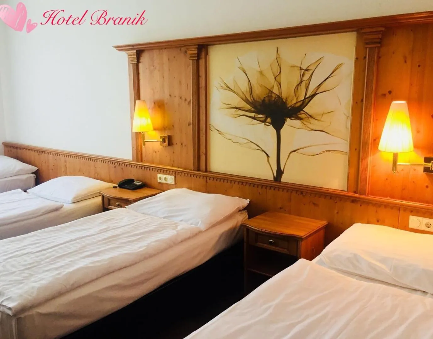 Bed in Hotel Braník