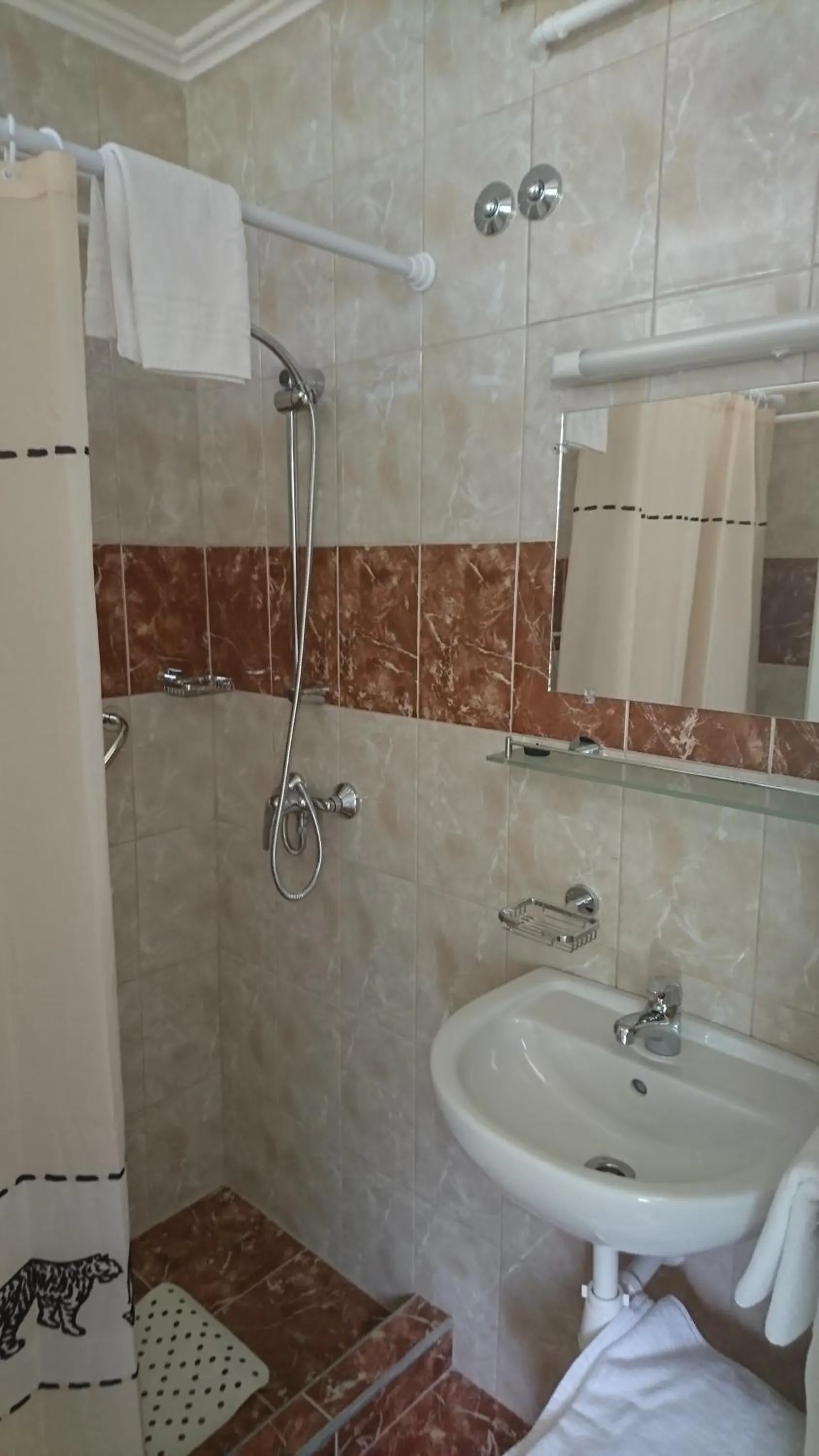 Shower in Hőforrás Hotel