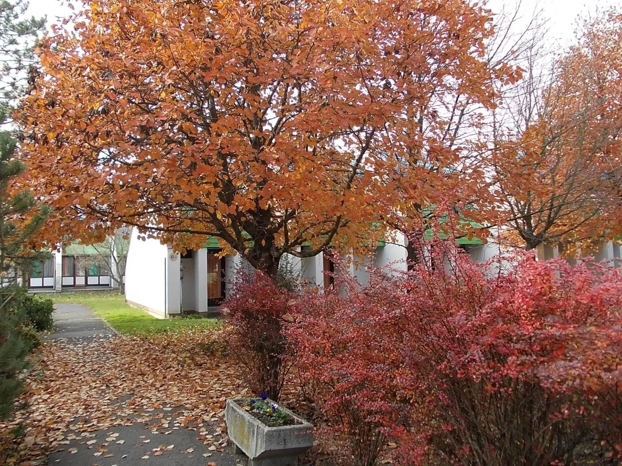 Natural landscape in Hőforrás Hotel