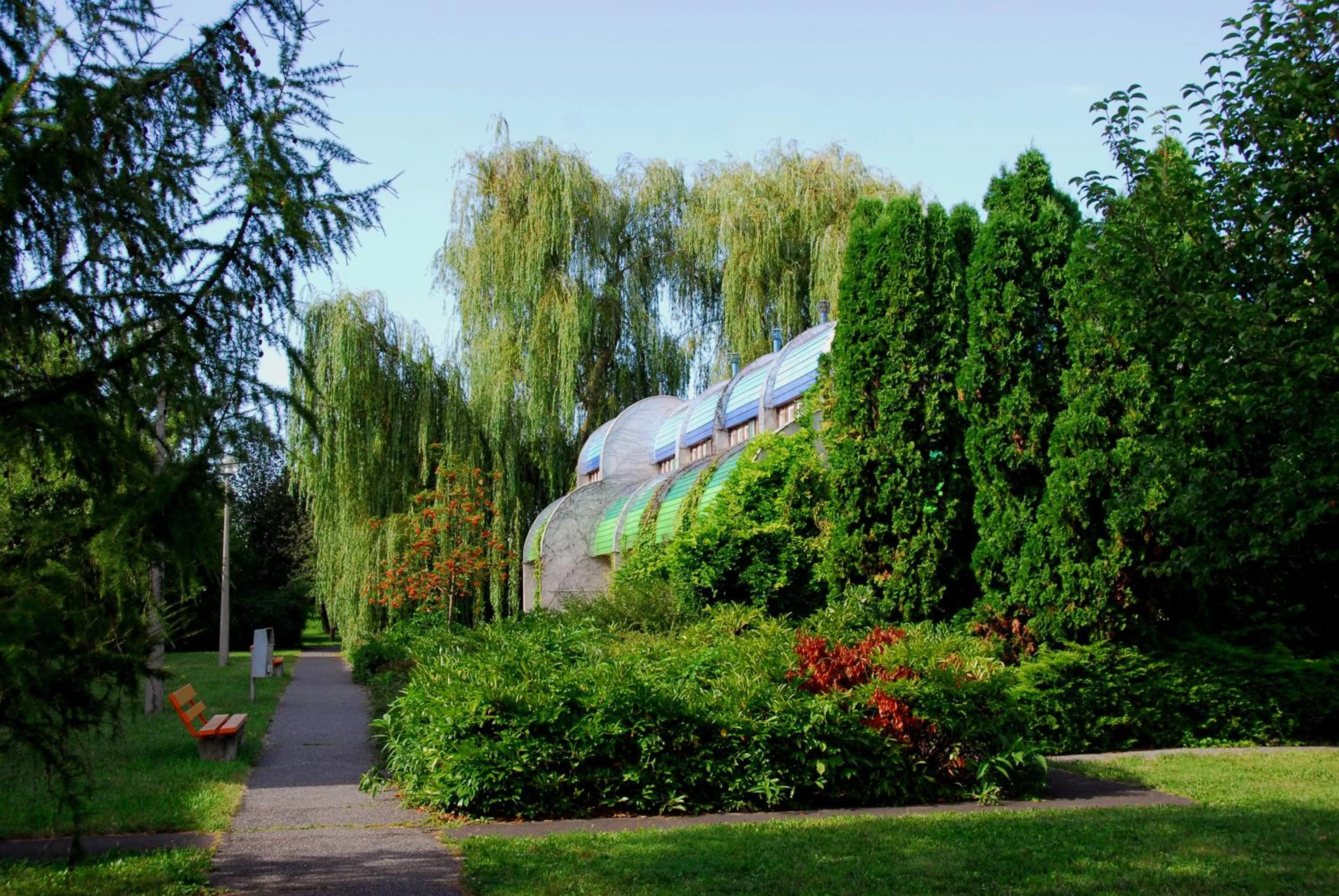 Garden in Hőforrás Hotel