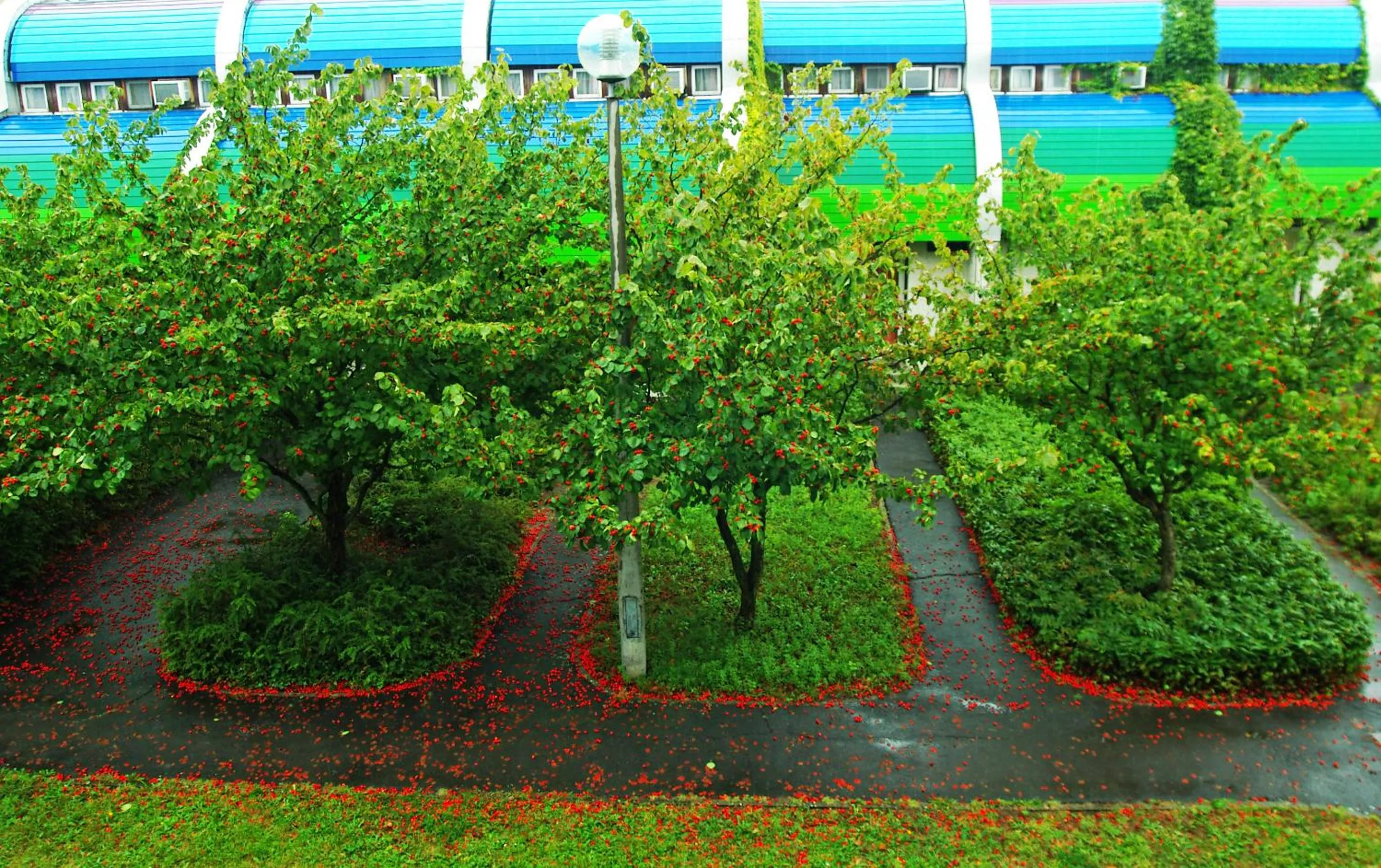 Spring in Hőforrás Hotel
