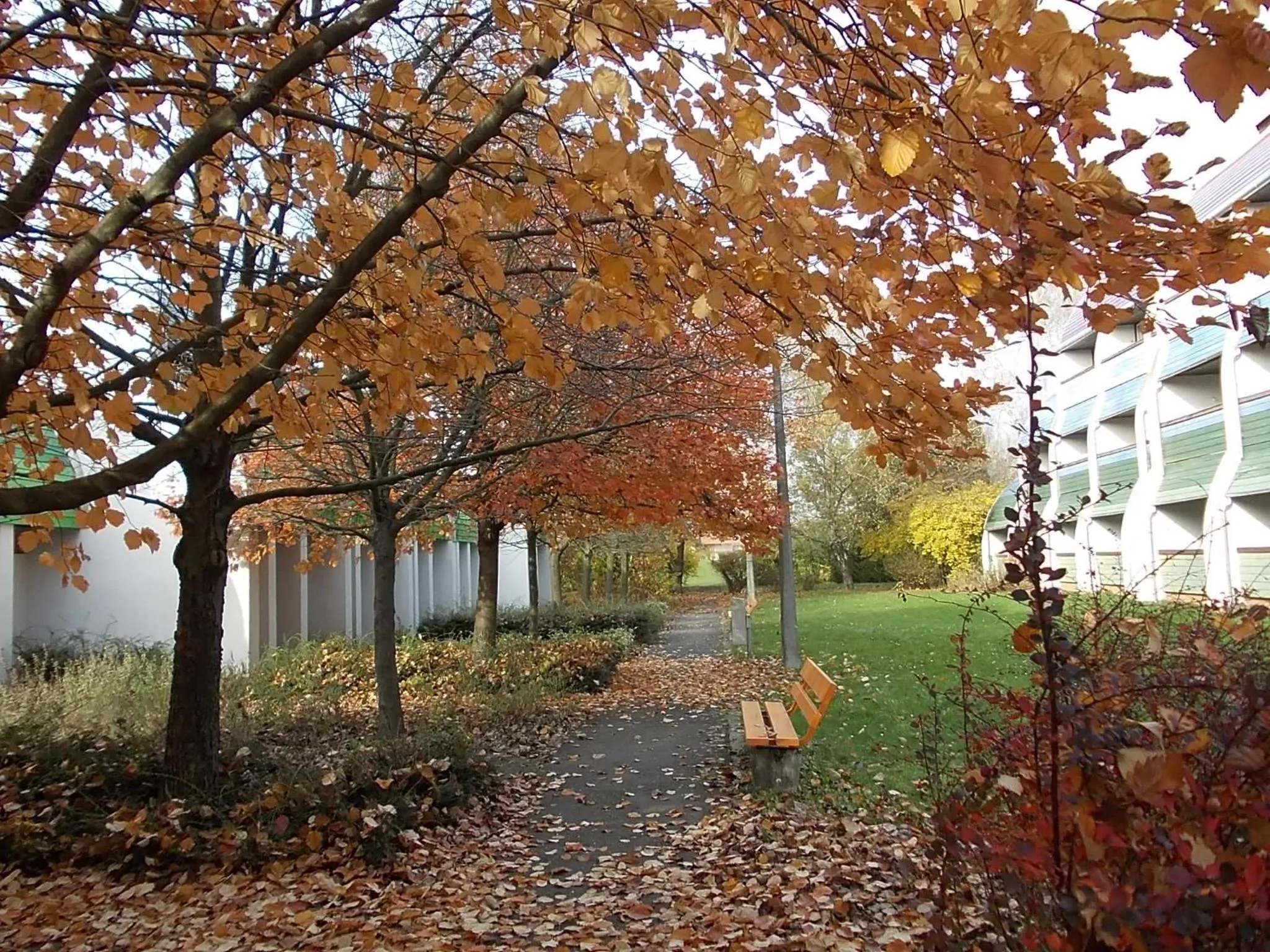 Natural landscape in Hőforrás Hotel