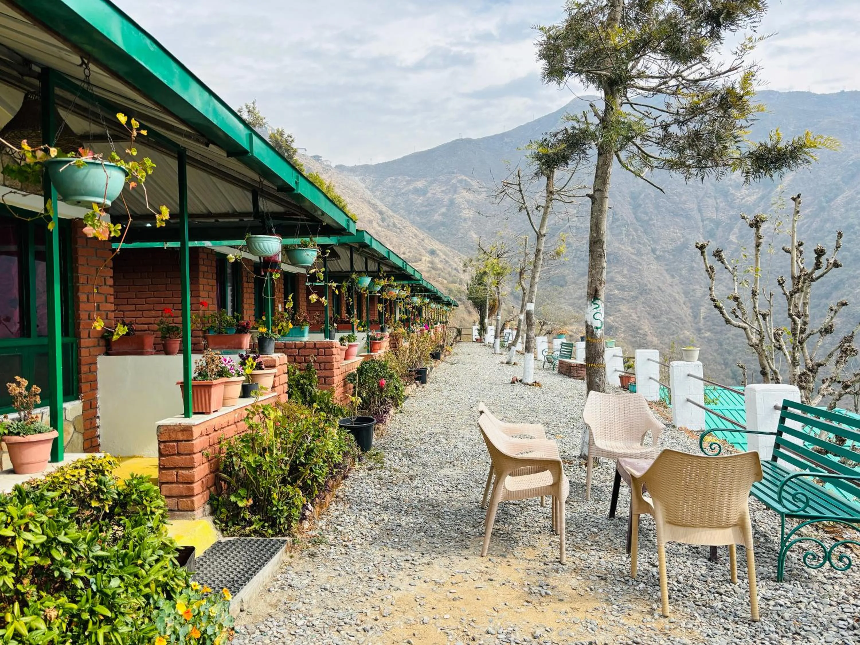View (from property/room) in Room on the Roof, Viraatkhai-Chakrata, By Himalayan Eco Lodges