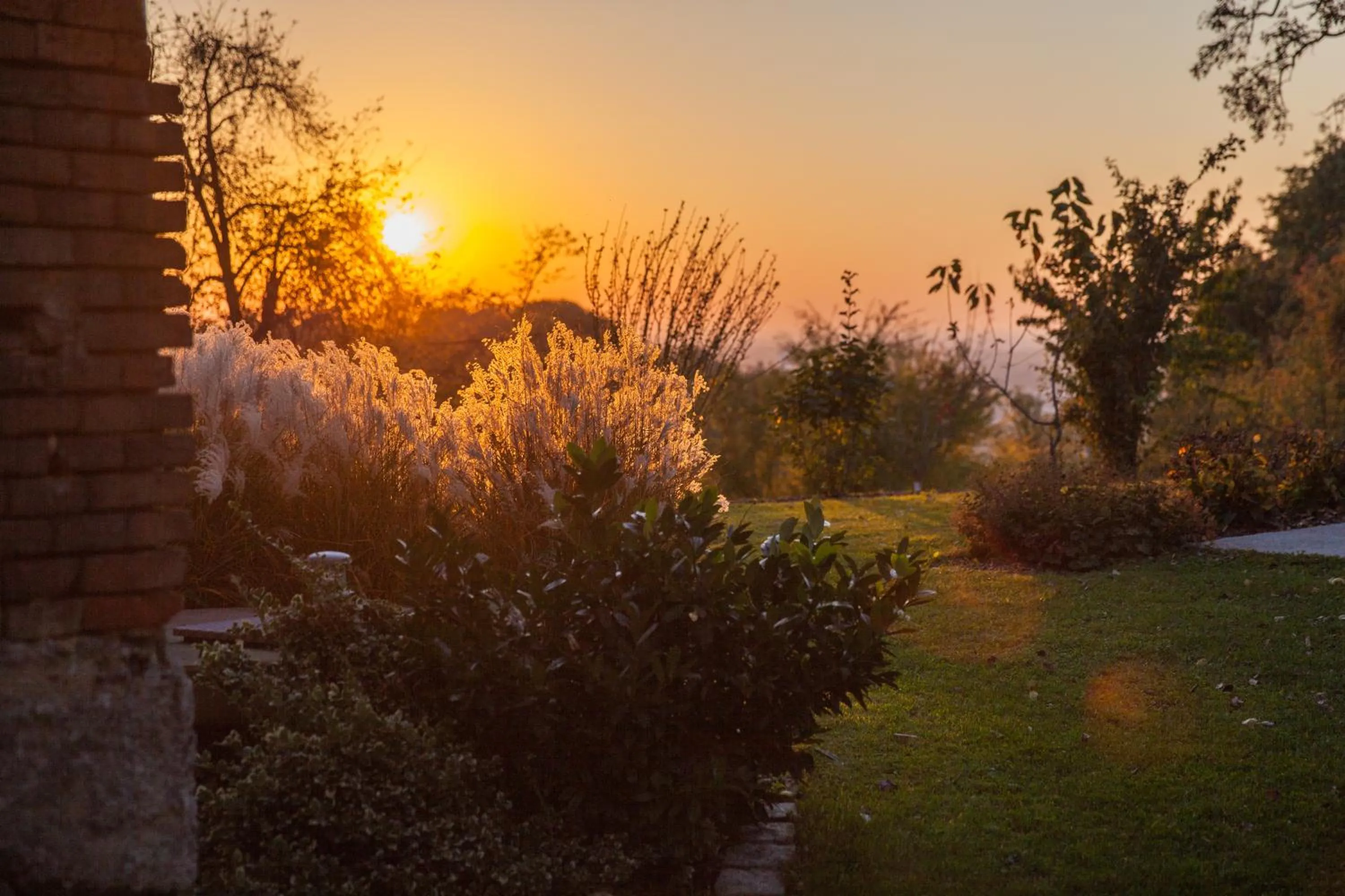 Garden in Brucknergut