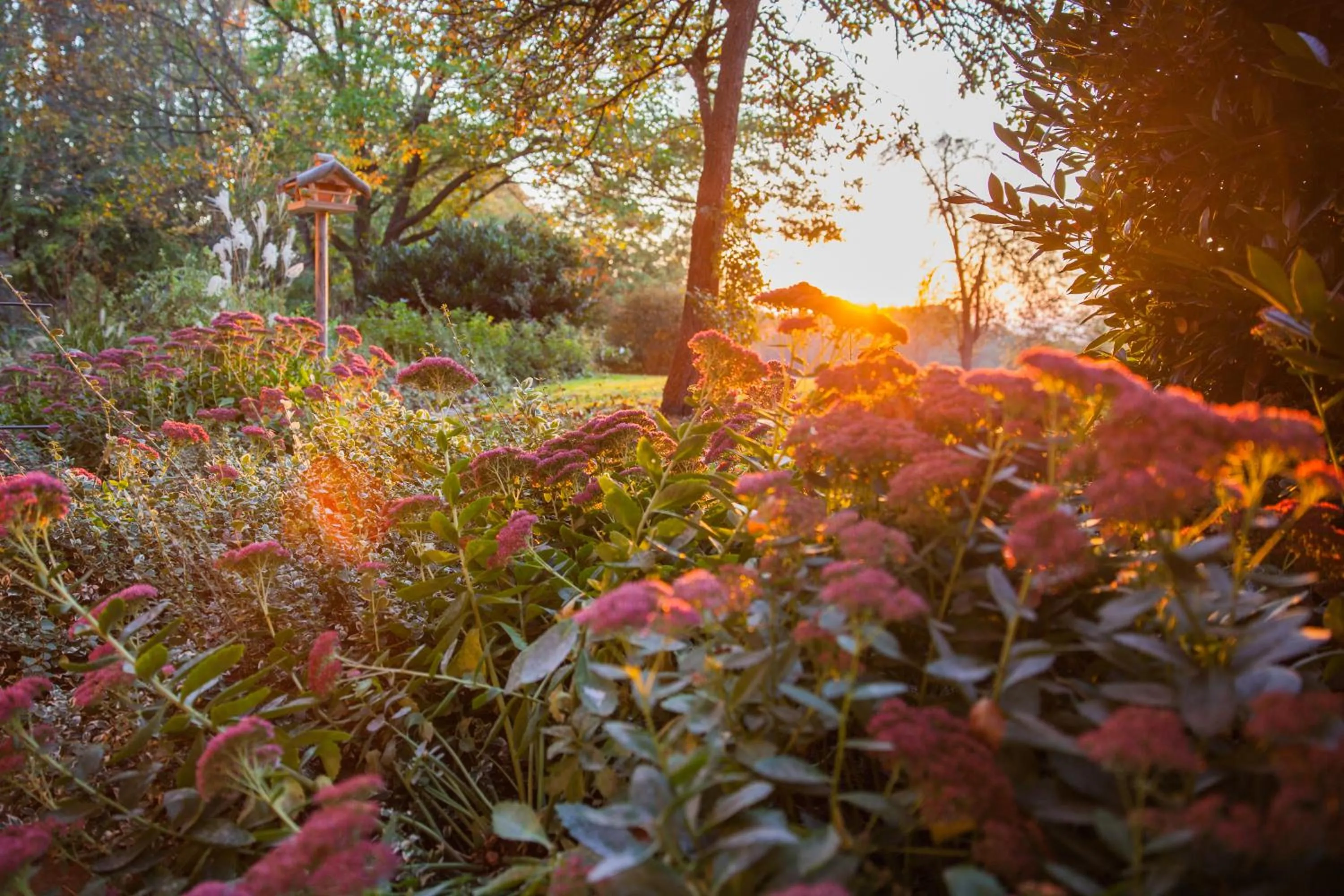Garden in Brucknergut