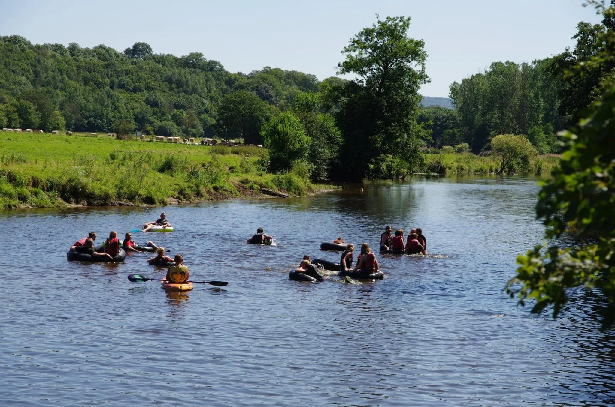 La Fleur et Le Soleil (F&S)