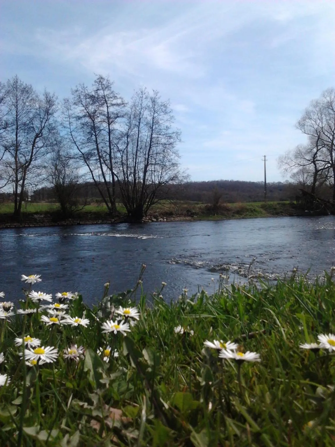 La Fleur et Le Soleil (F&S)