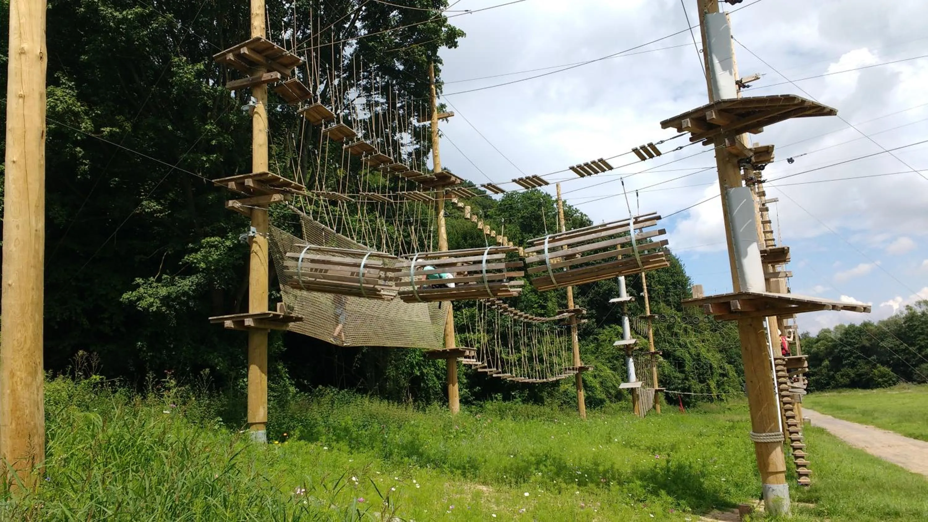 La Fleur et Le Soleil (F&S)