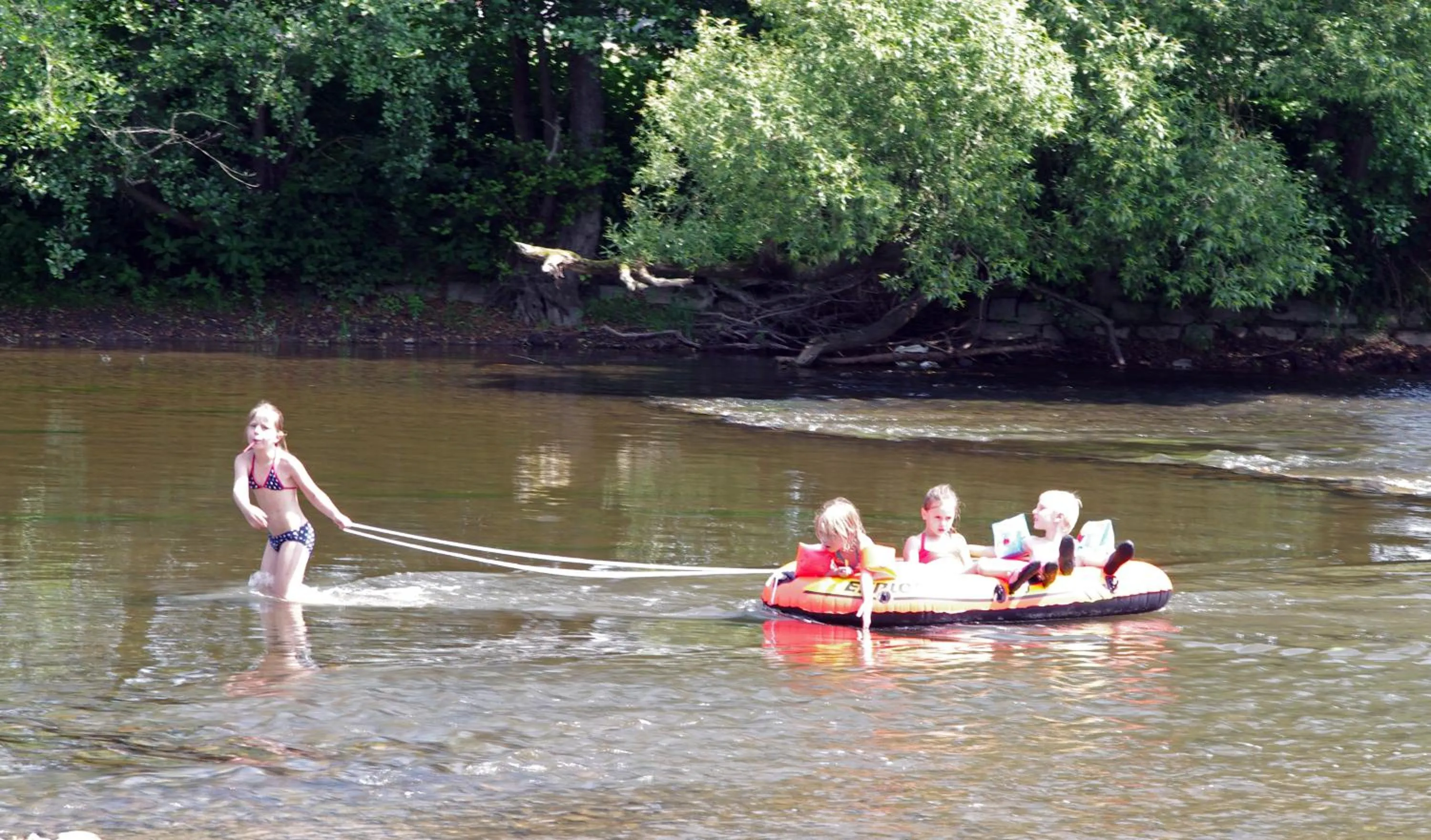 La Fleur et Le Soleil (F&S)