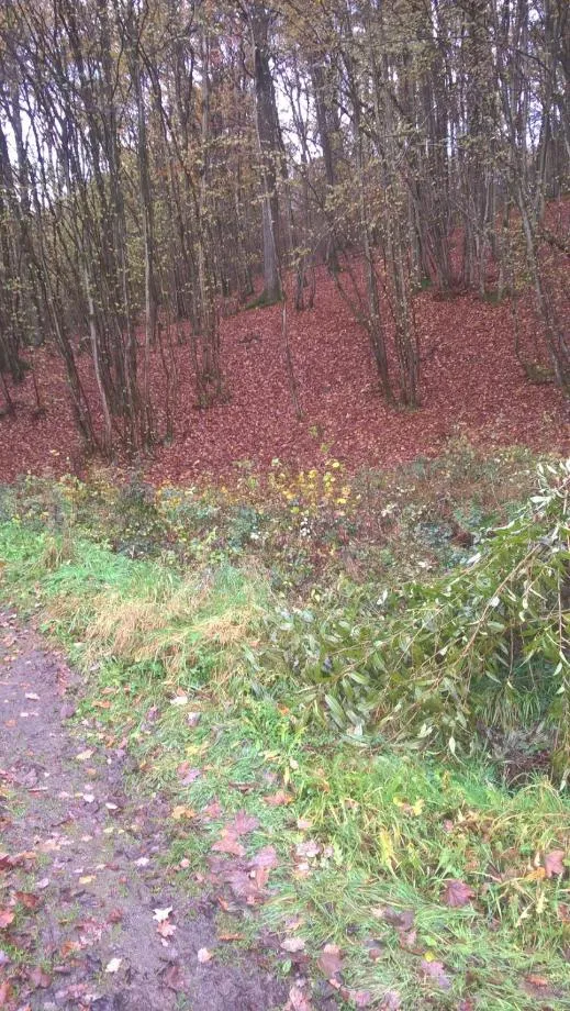 Off site in La Fleur et Le Soleil (F&S)