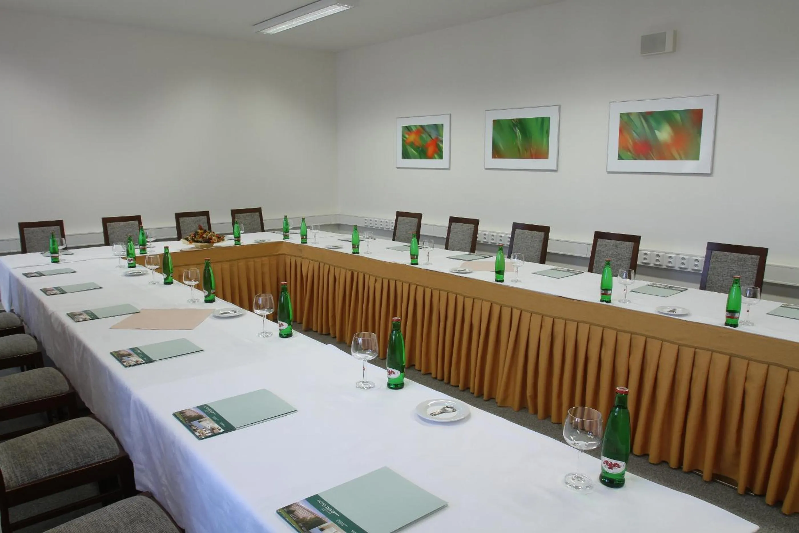 Business facilities in Hotel DAP