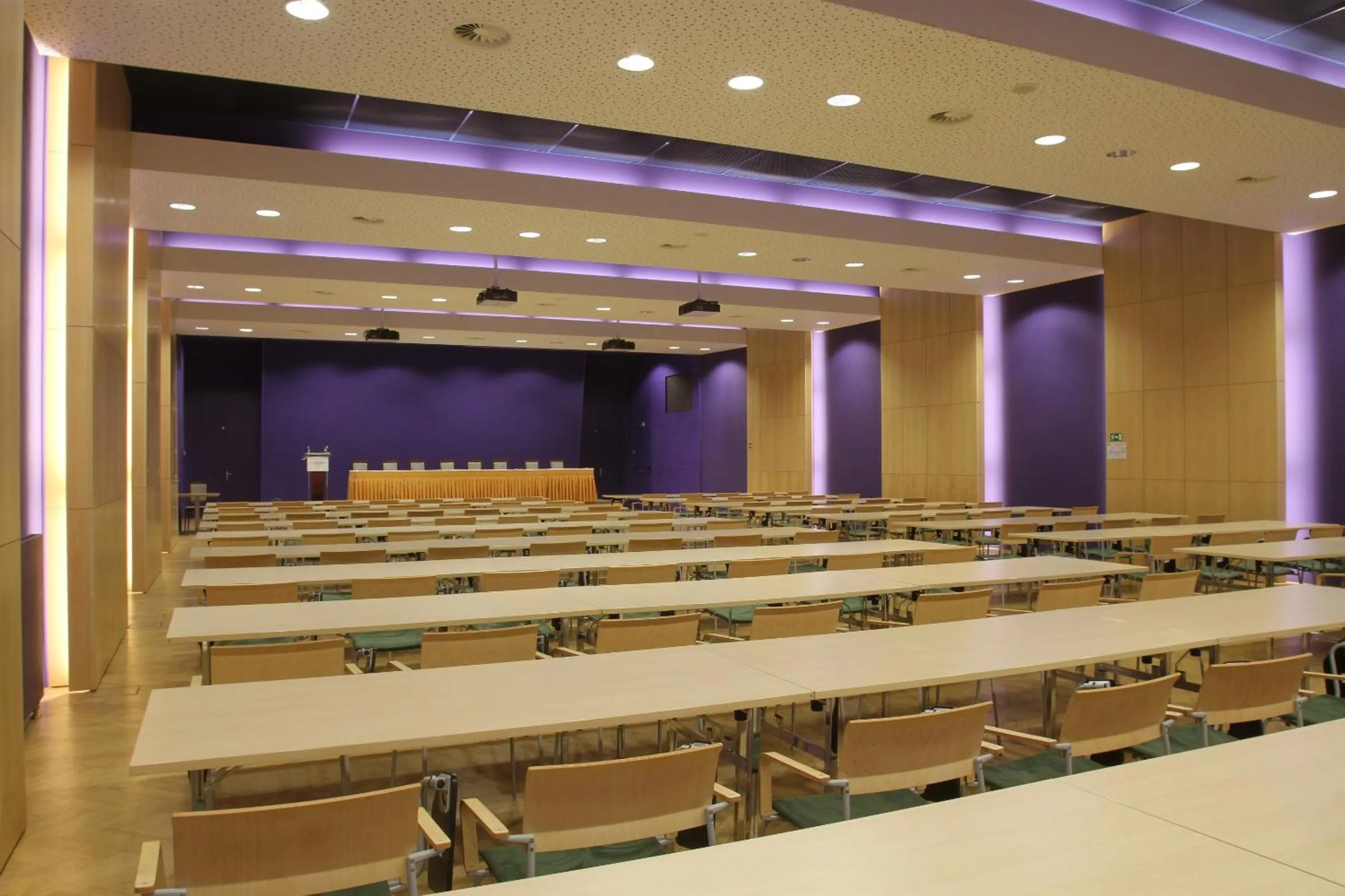 Business facilities in Hotel DAP