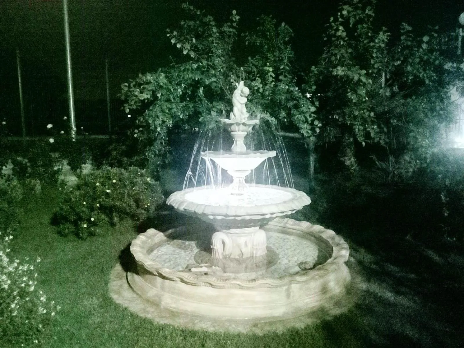 Night in Green Garden