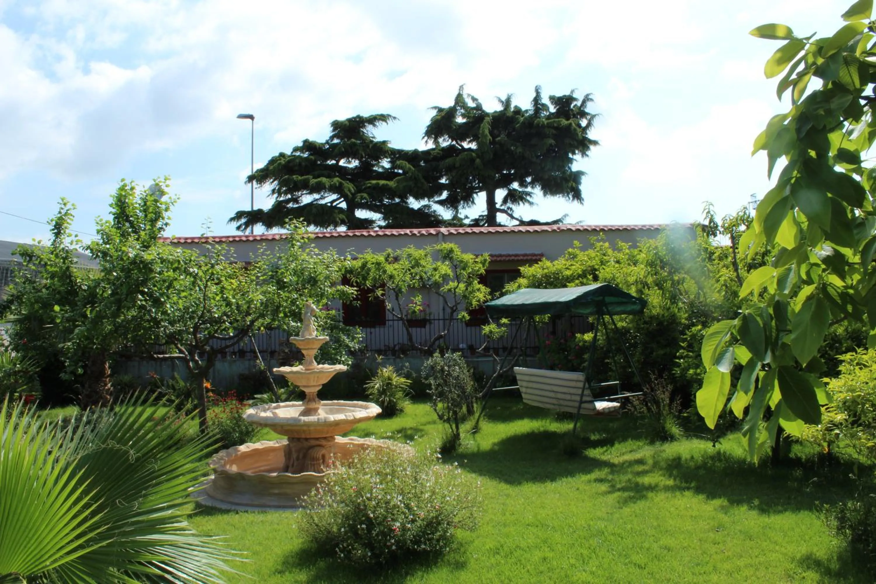 Garden in Green Garden