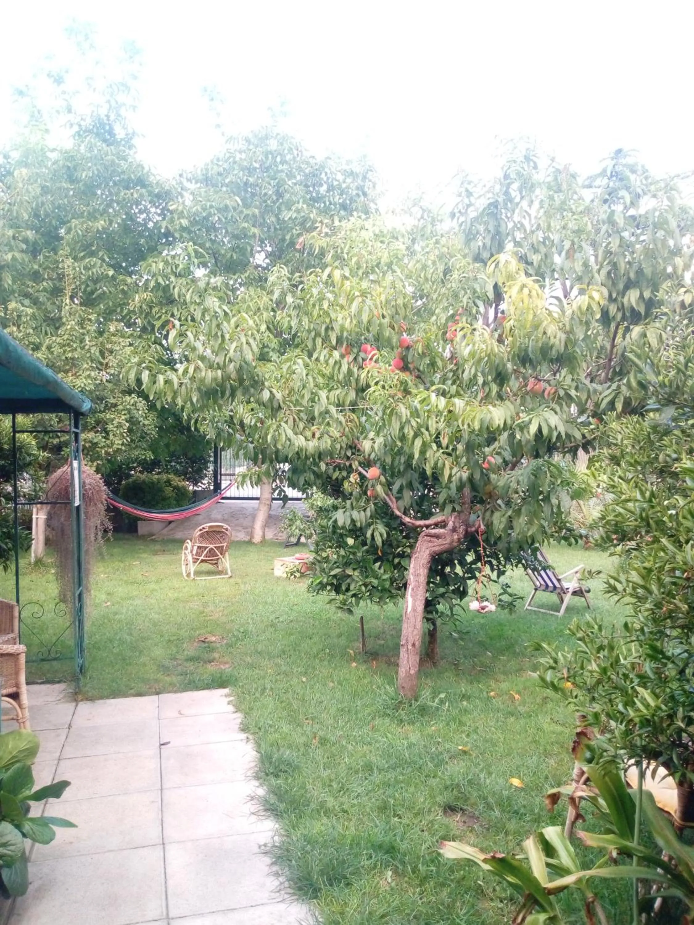 Garden in Green Garden