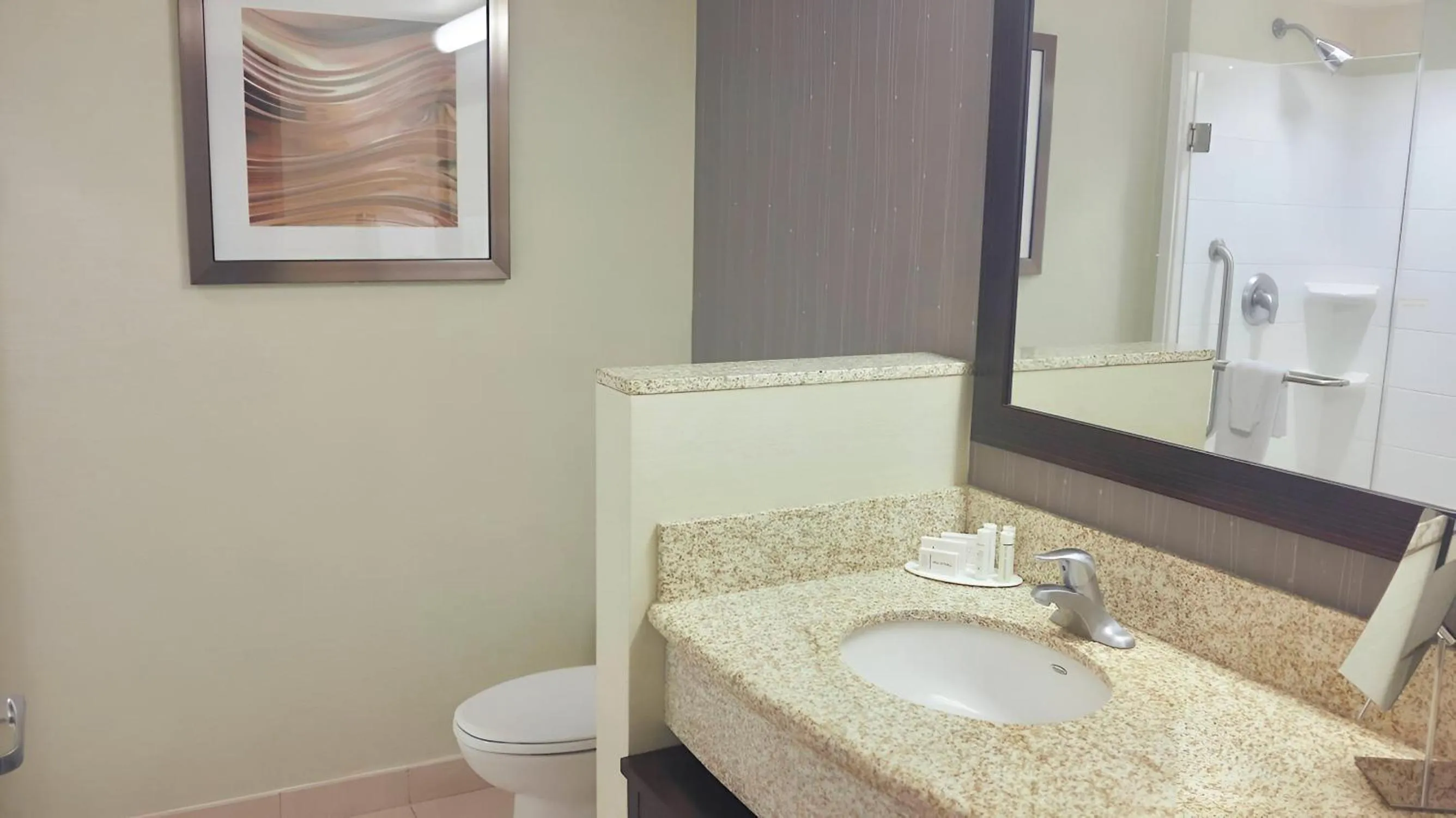Bathroom in Courtyard by Marriott Owensboro