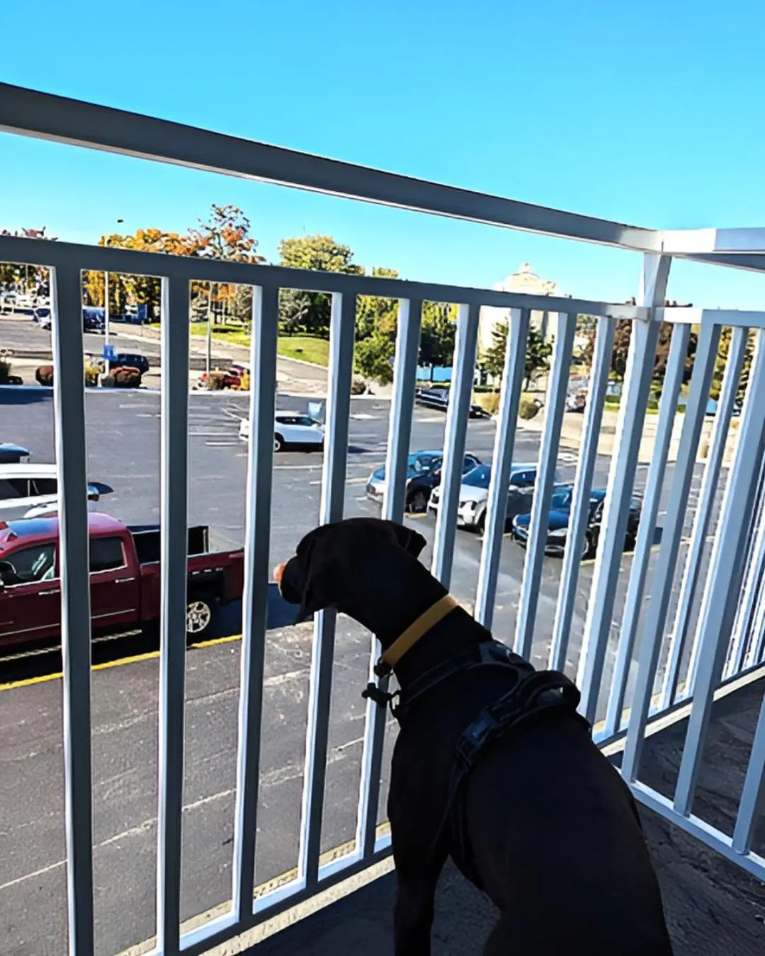 Patio in Silver Beach Hotel