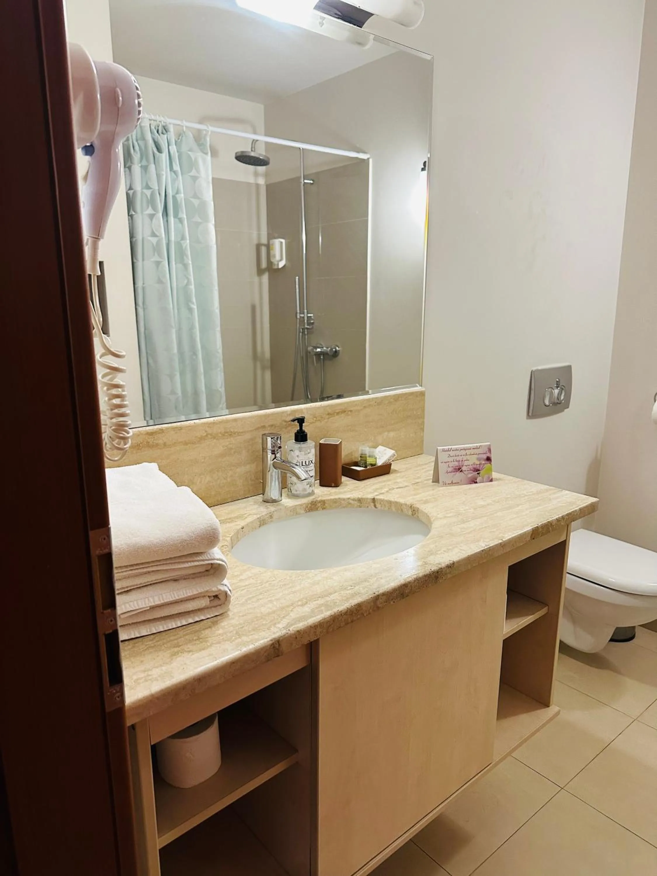 Toilet in Hotel Plaza