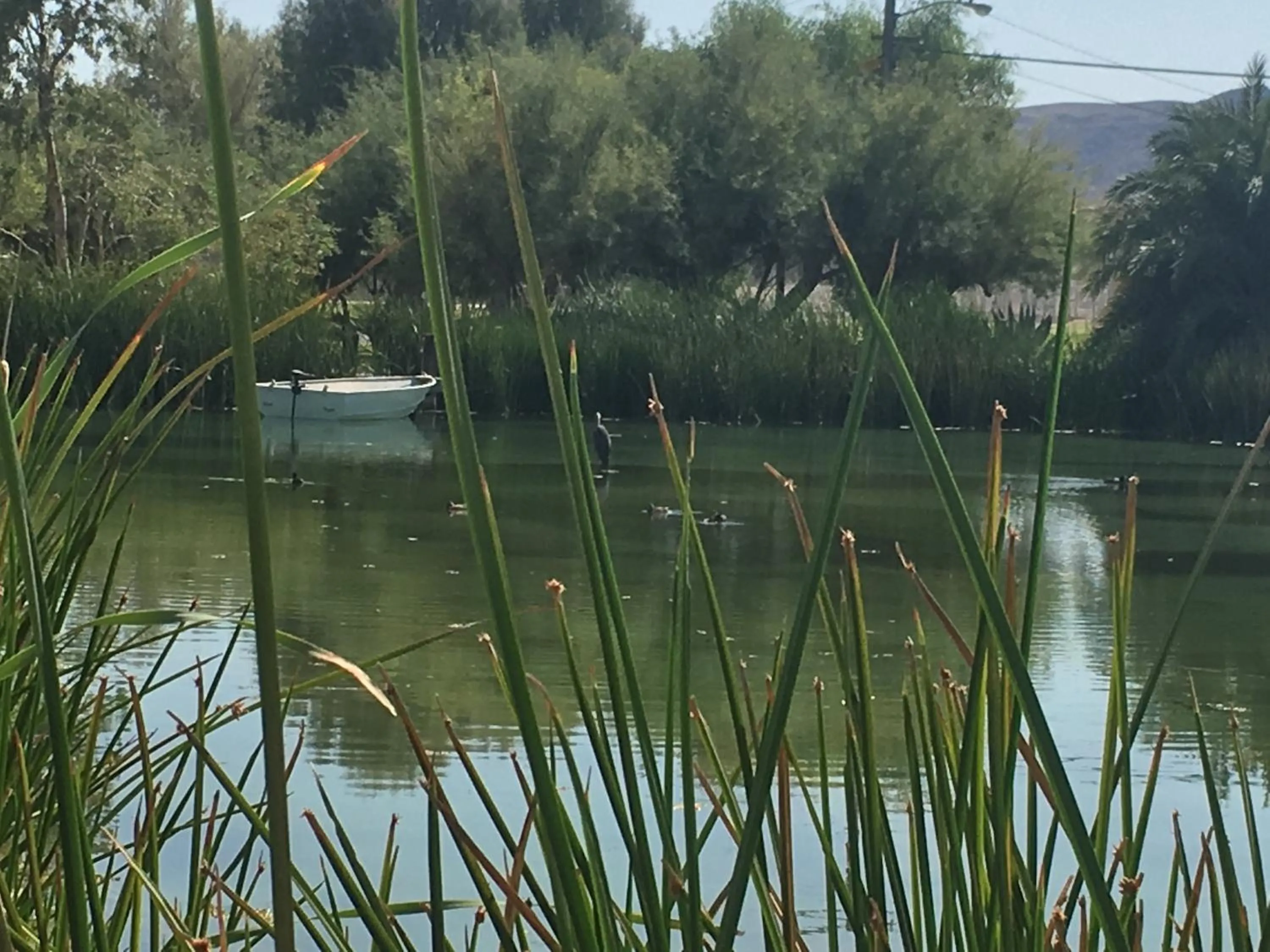 Shoshone RV Park