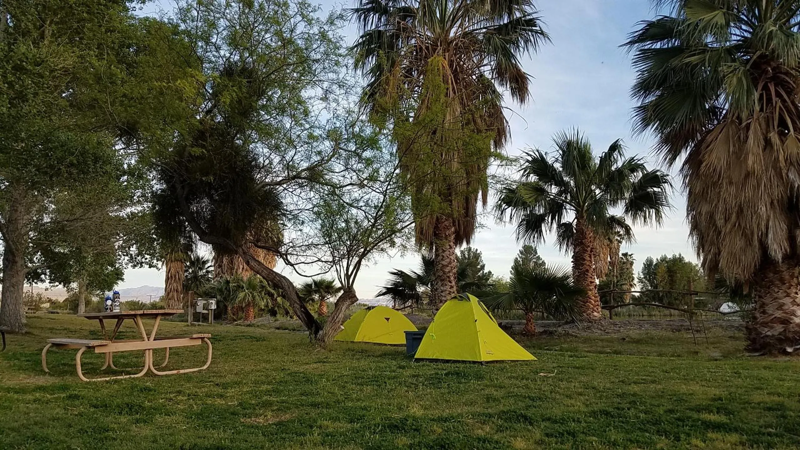 Tent Site (No Tent or Bed Included) in Shoshone RV Park