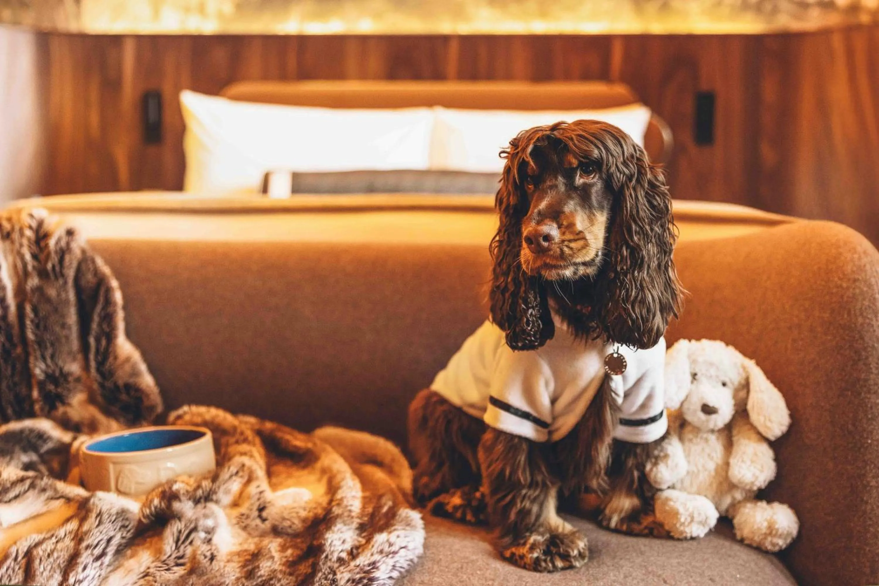 Other in St Pancras London, Autograph Collection