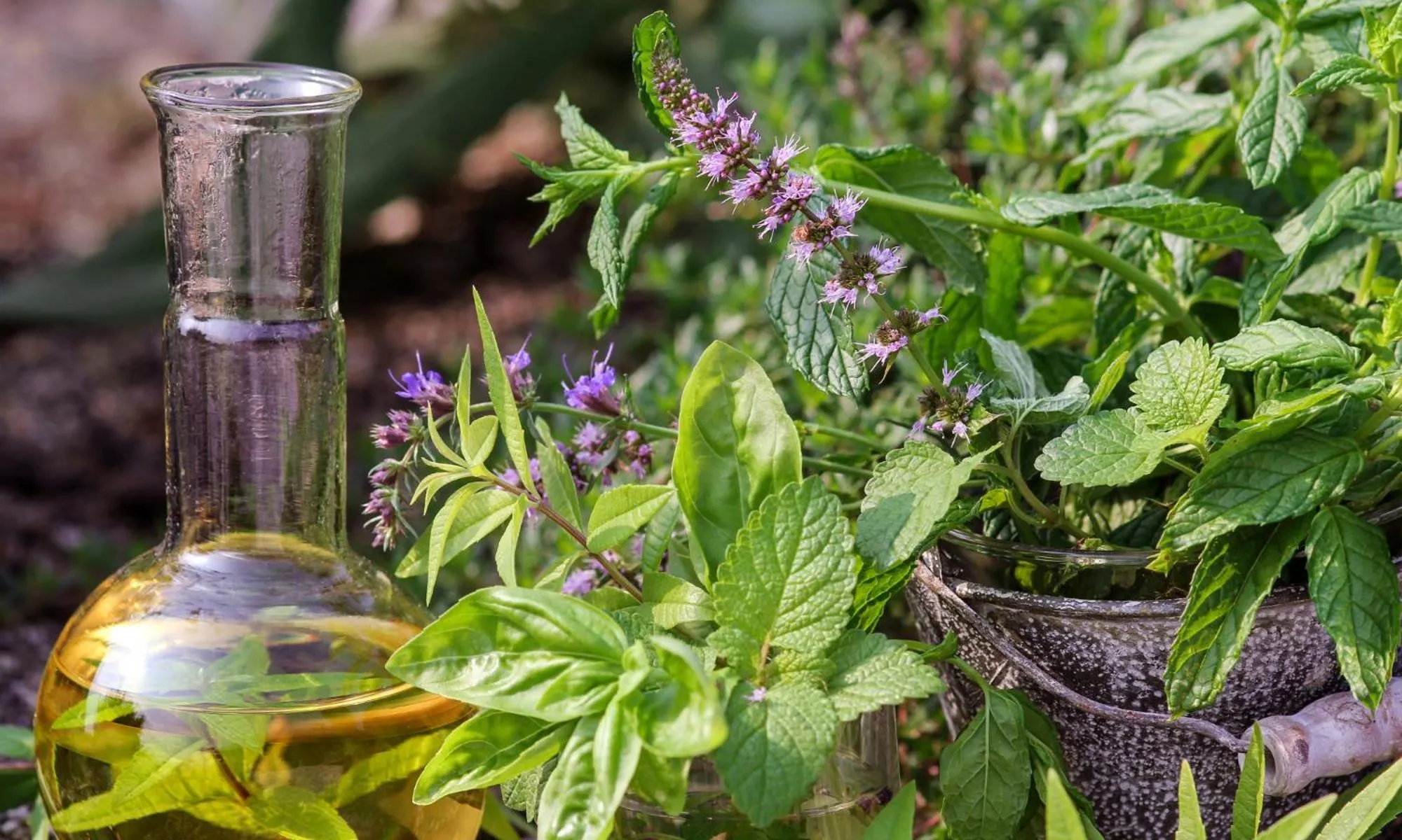 Garden in Natur- & Wellnesshotel Brunner Hof